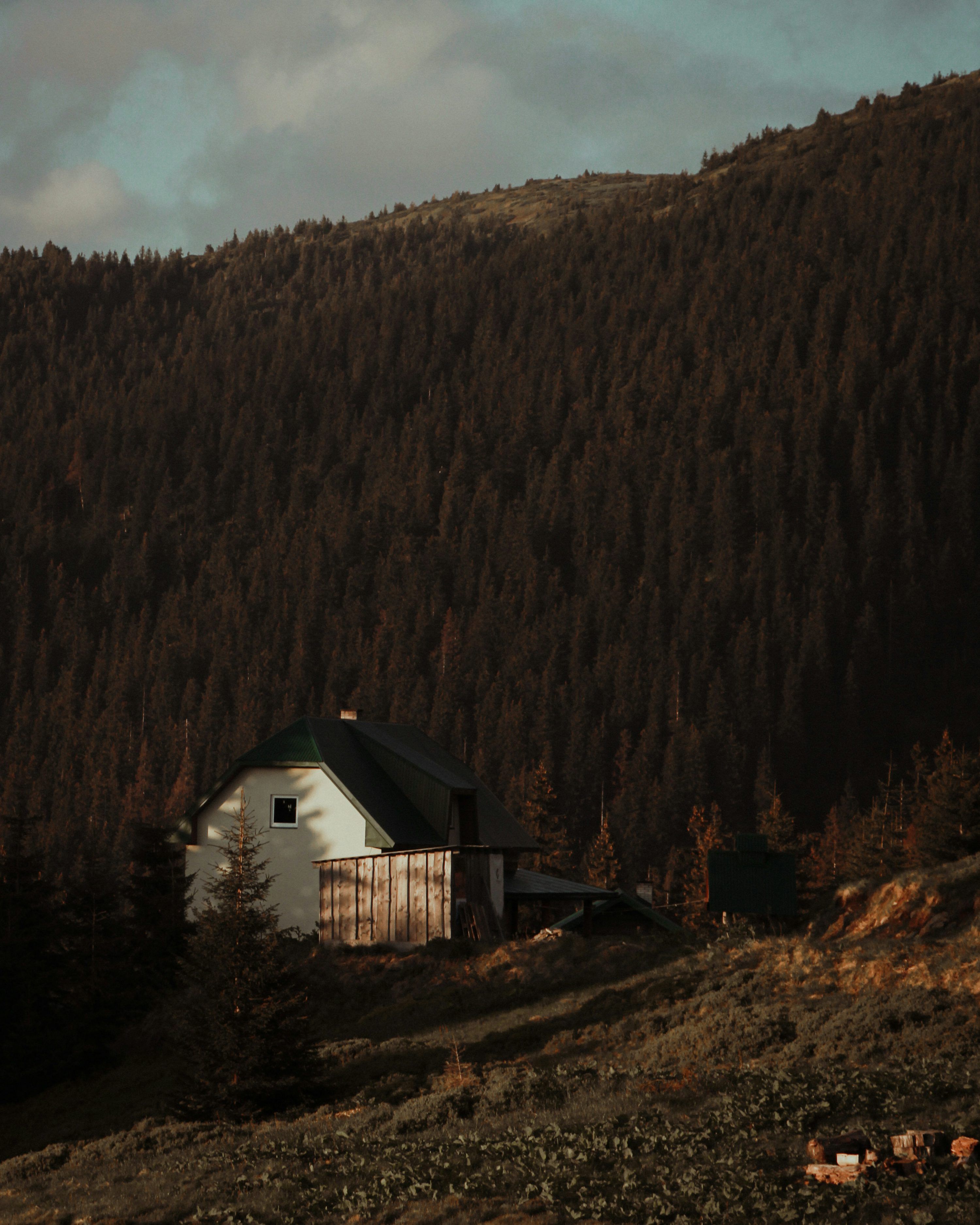 3000x3750 A solitary cabin sits nestled in the forest. photo
