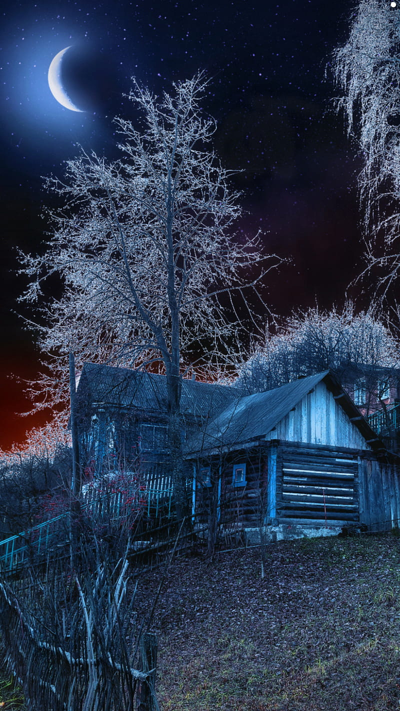 800x1422 Home, cabin, cool, country, nature, night, pretty, sky, HD phone wallpaper