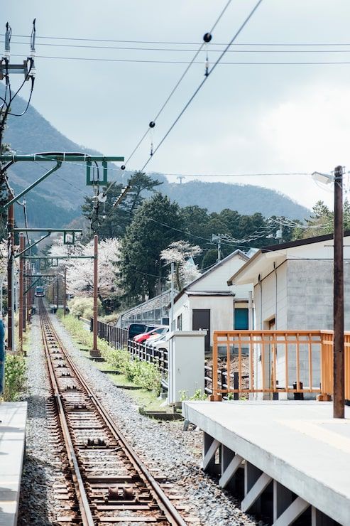 493x740 Konkan railway Image