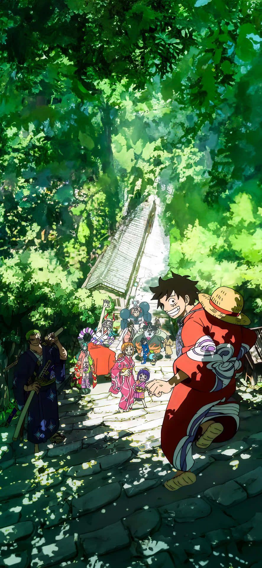886x1920 Download One Piece Anime Forest Adventure Wallpaper