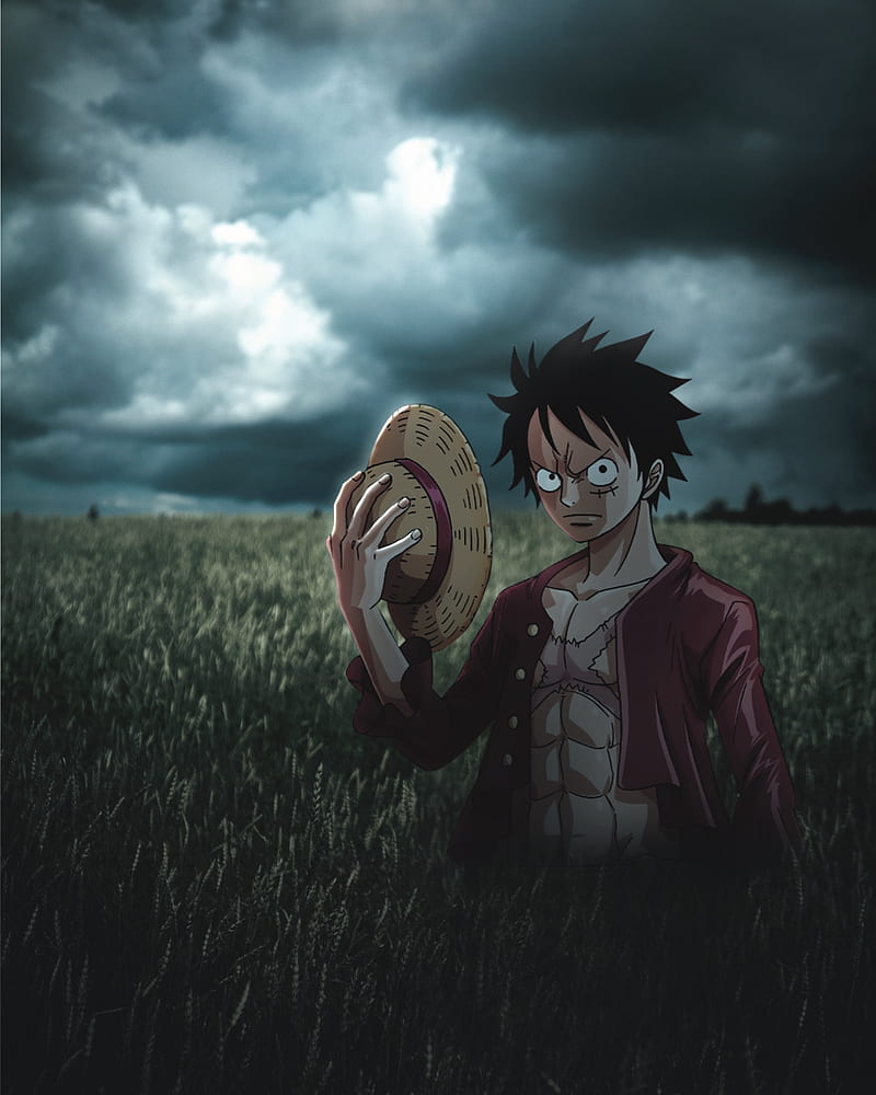800x1000 HD one piece nature wallpaper