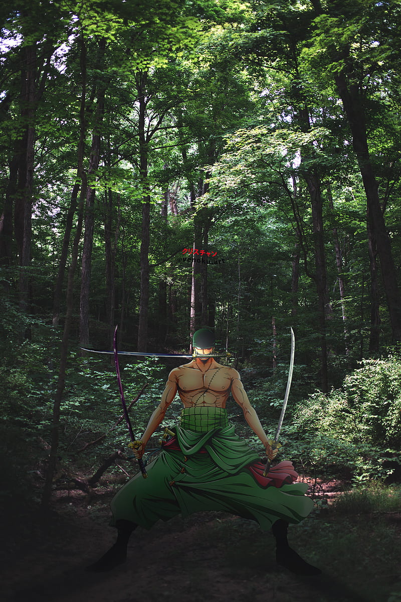 800x1200 Roronoa zoro, anime, luffy, nature, one piece, otaku, sword, venoku, HD phone wallpaper