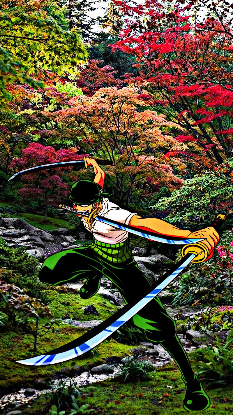 800x1423 Roronoa Zoro, land, landscapes, luffy, magic, nature, one piece, sanji, scenery, HD phone wallpaper