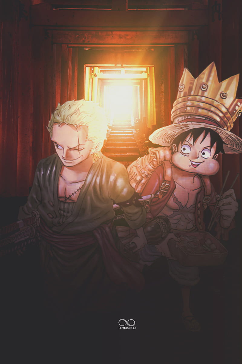 800x1200 Luffy and Zoro, anime, animes, dbz, iphone, naruto, nature, one piece, sanji, HD phone wallpaper
