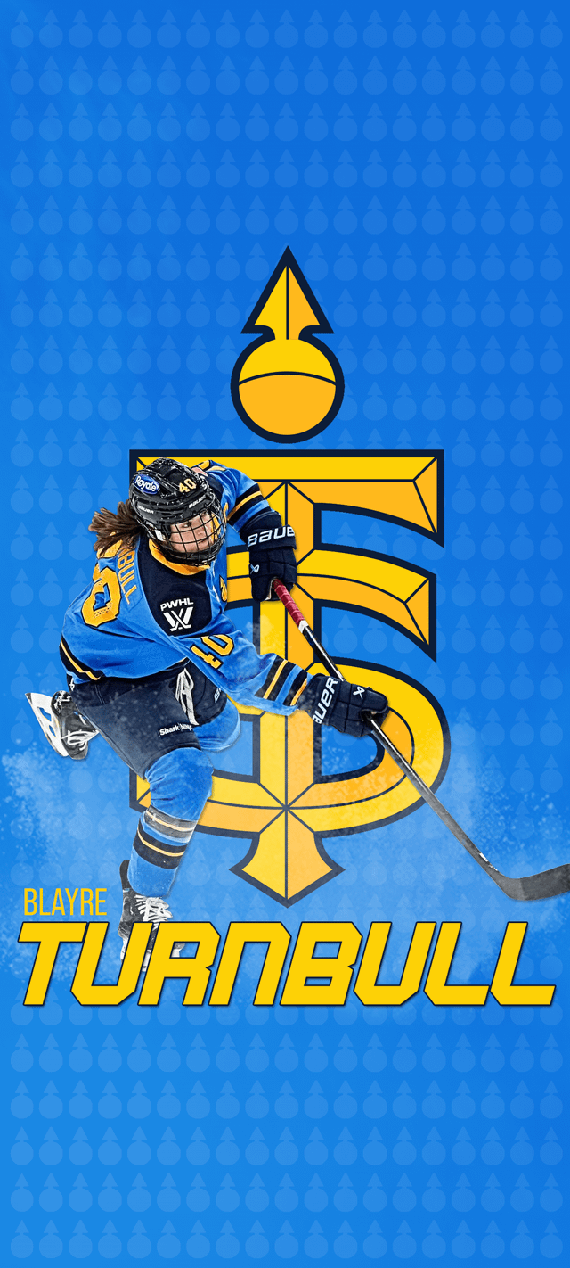 640x1422 PWHL Phone Wallpaper