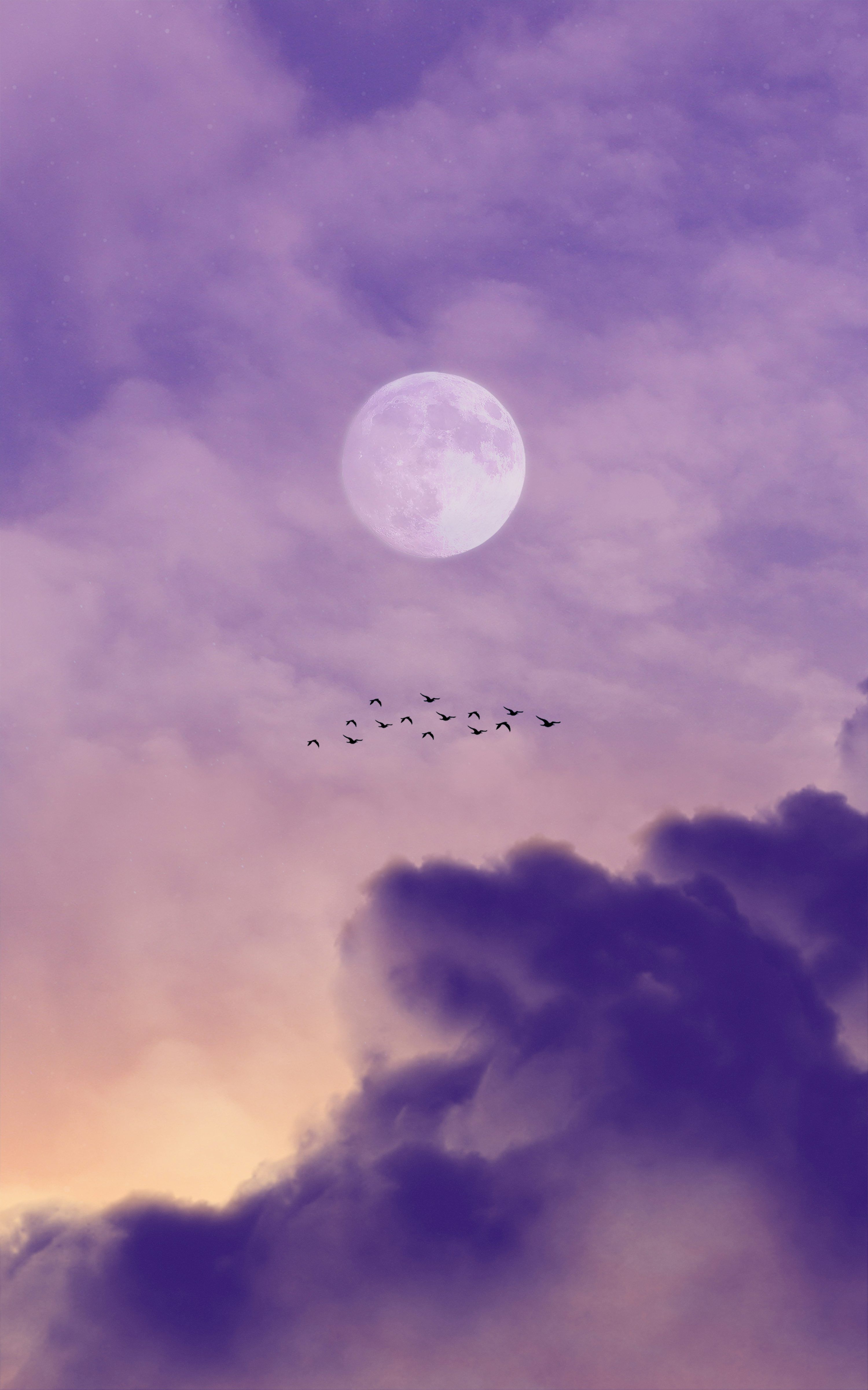 3000x4801 Purple Moon Picture. Download Free Image