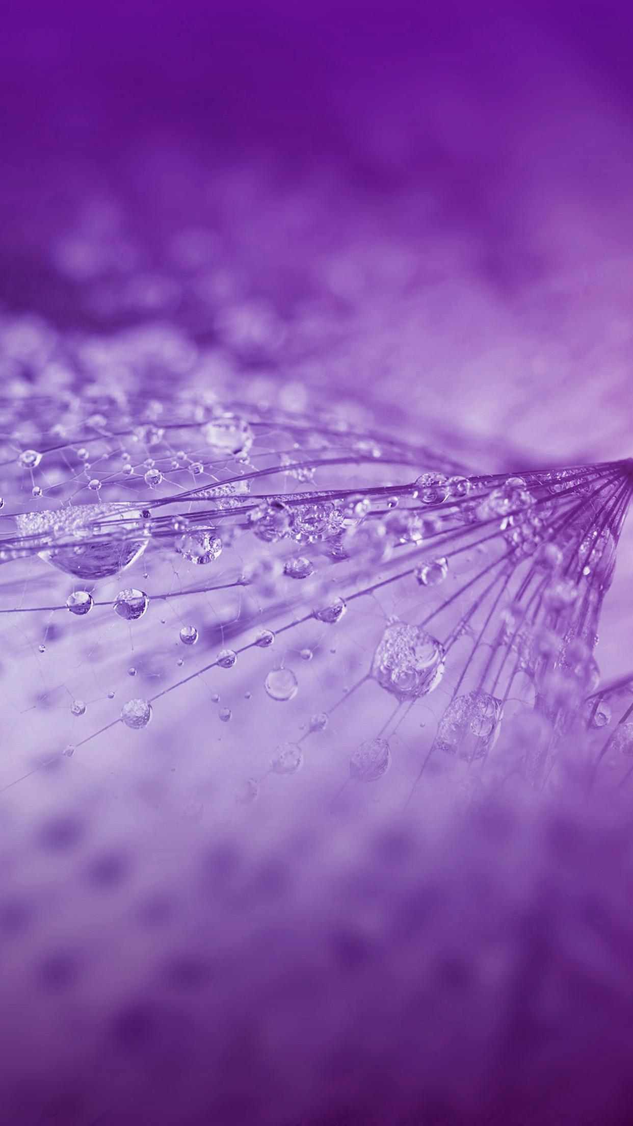 1242x2208 Purple HD Android Wallpaper