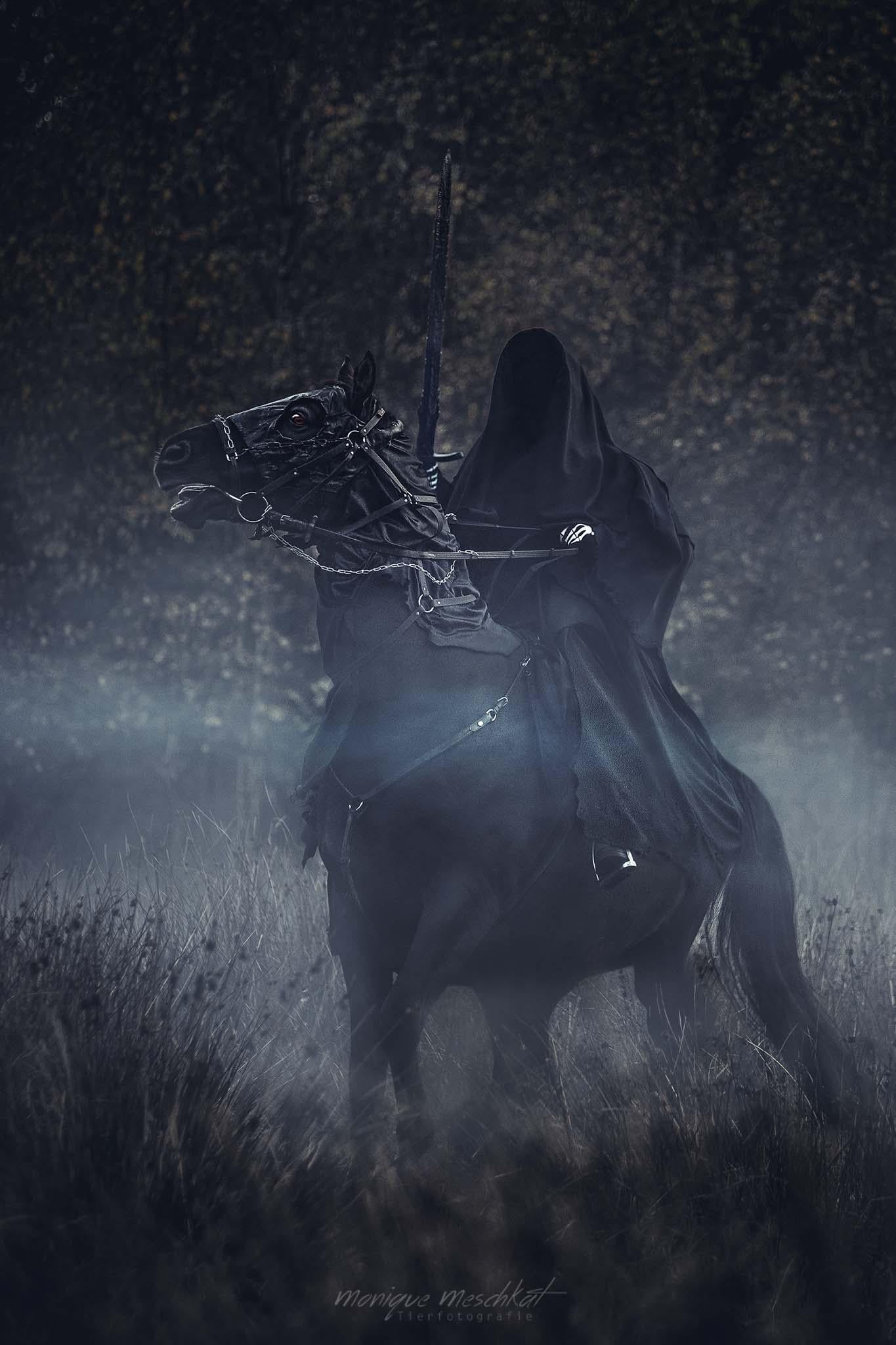1365x2048 This shot of Nazgûl looks good enough to be a wallpaper