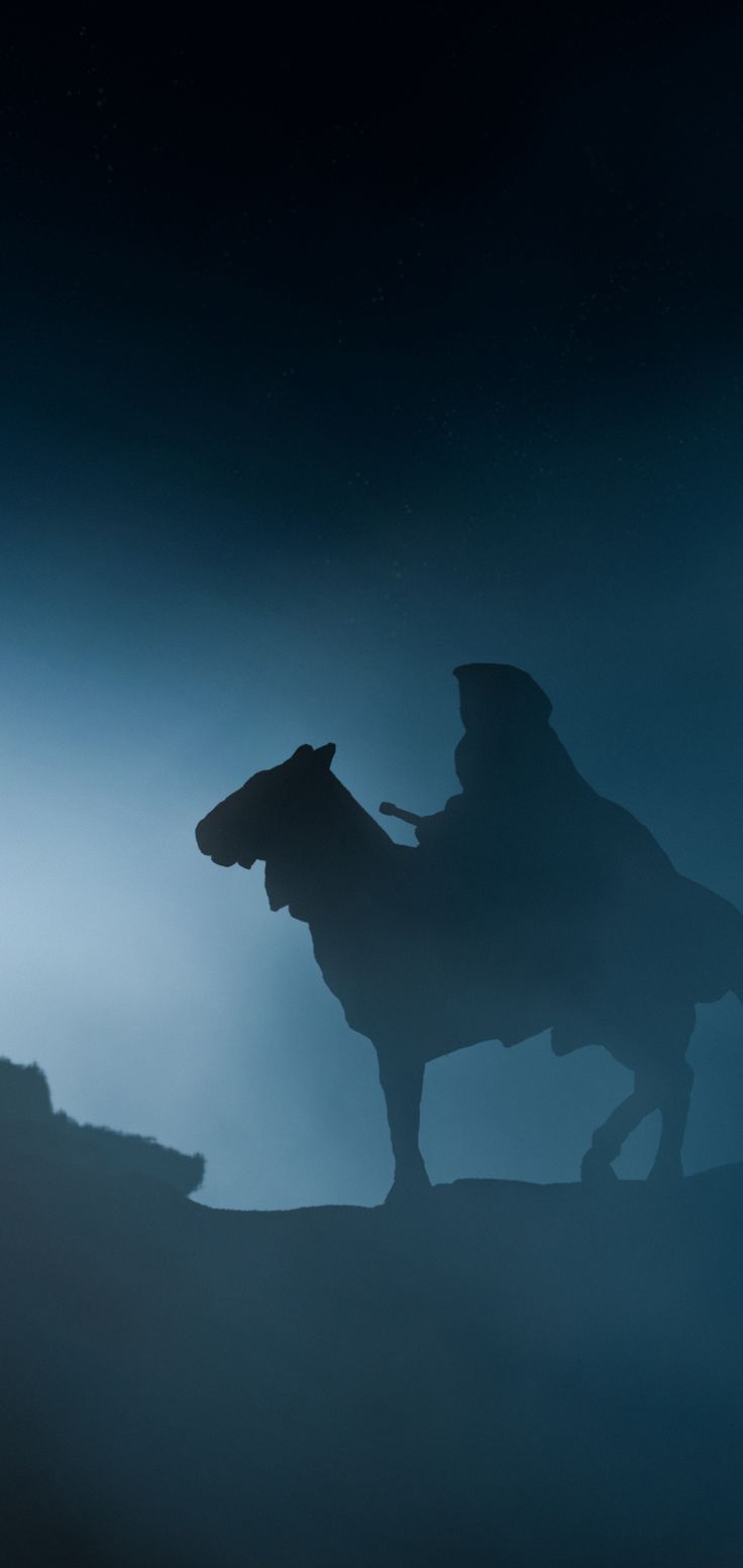 736x1553 Nazgul The Lord Of The Rings Art 4k One Plus Huawei p Honor view Vivo y Oppo f Xiaomi Mi A2 , HD 4k Wallpaper, Image, Background, Photos and Picture