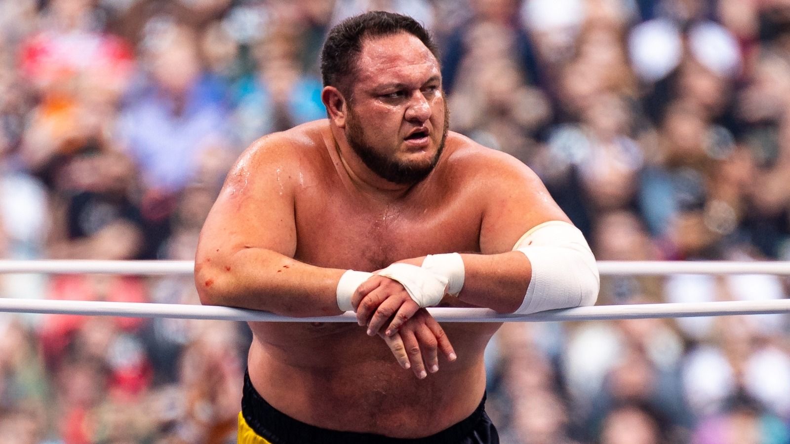 1600x900 AEW's Samoa Joe Opens Up About Being On The 'Ground Floor' Of ROH & TNA