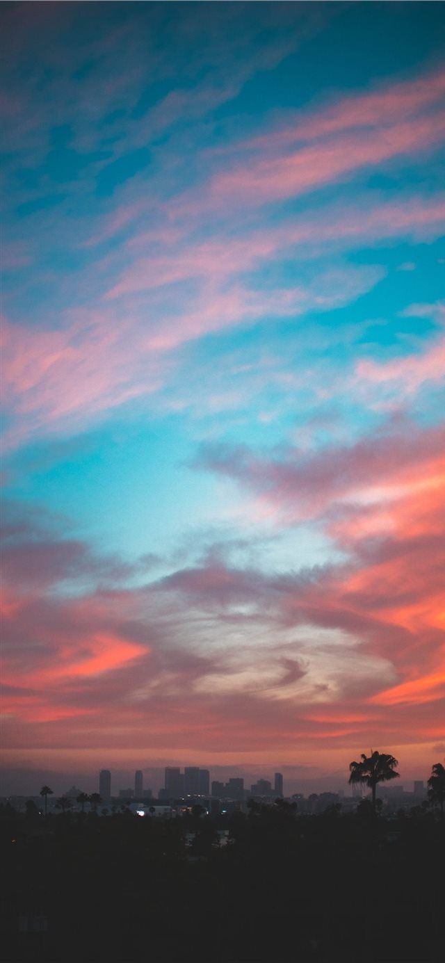640x1385 Best West hollywood iPhone 11 HD Wallpaper