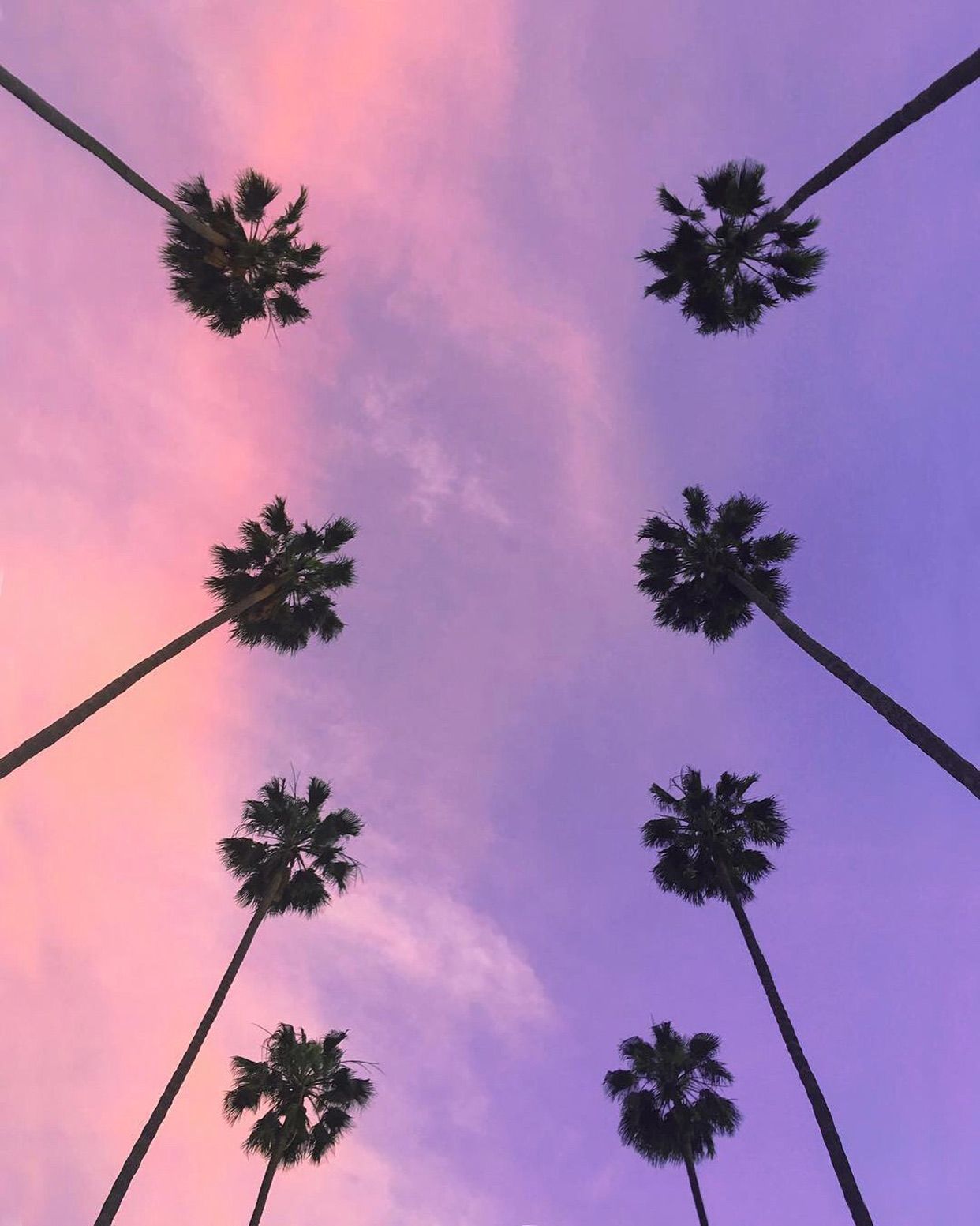 1242x1553 Best photo locations in West Hollywood