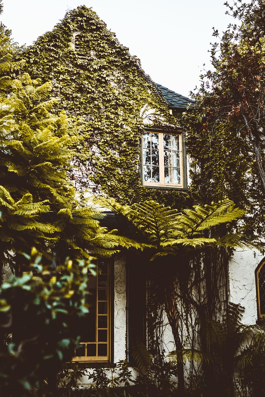 910x1365 HD wallpaper: white concrete house, building, cottage, housing, west hollywood