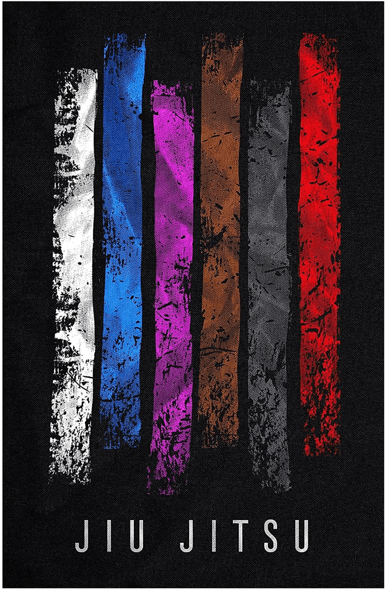 782x1200 Gi Belts Jiu Jitsu Poster BJJ Martial Arts (24 X 36 Inches)