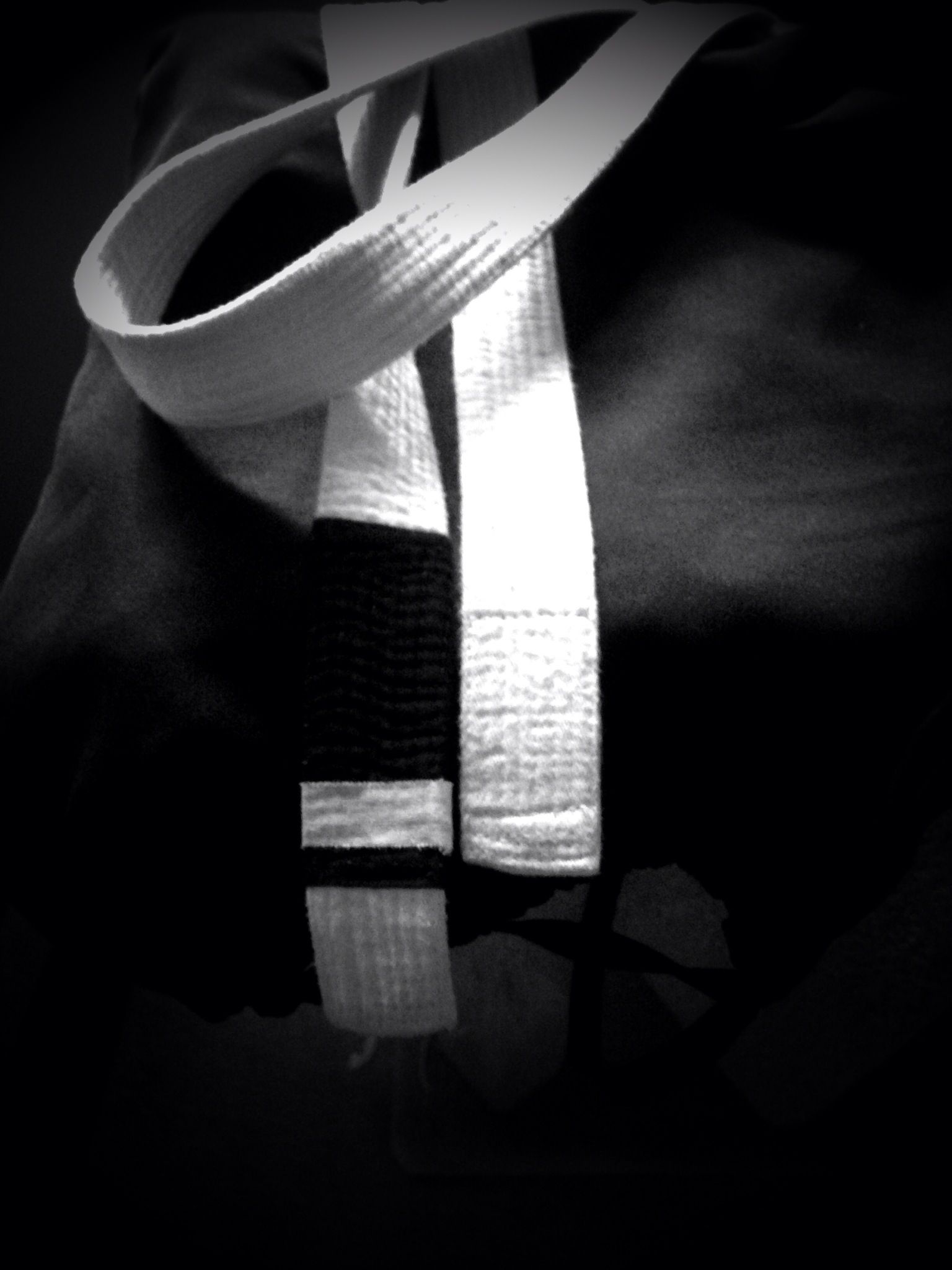 1536x2048 Progression is Progression Regardless of the Speed in BJJ Brazilian Jiu Jitsu