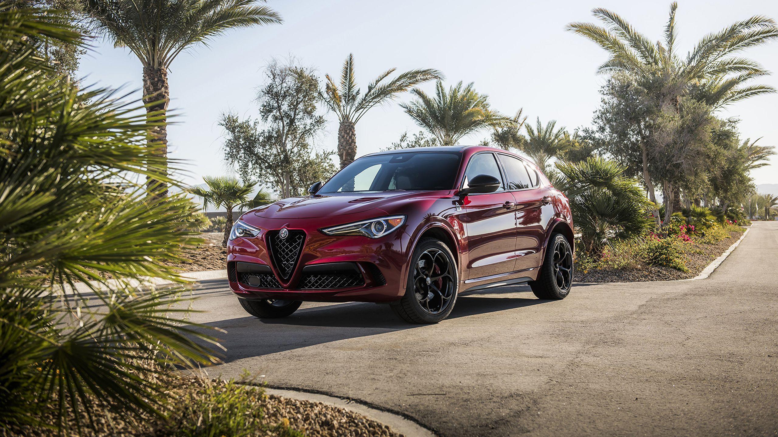 2560x1440 Image Alfa Romeo 2019 Stelvio Quadrifoglio Nero Edizione 2560x1440