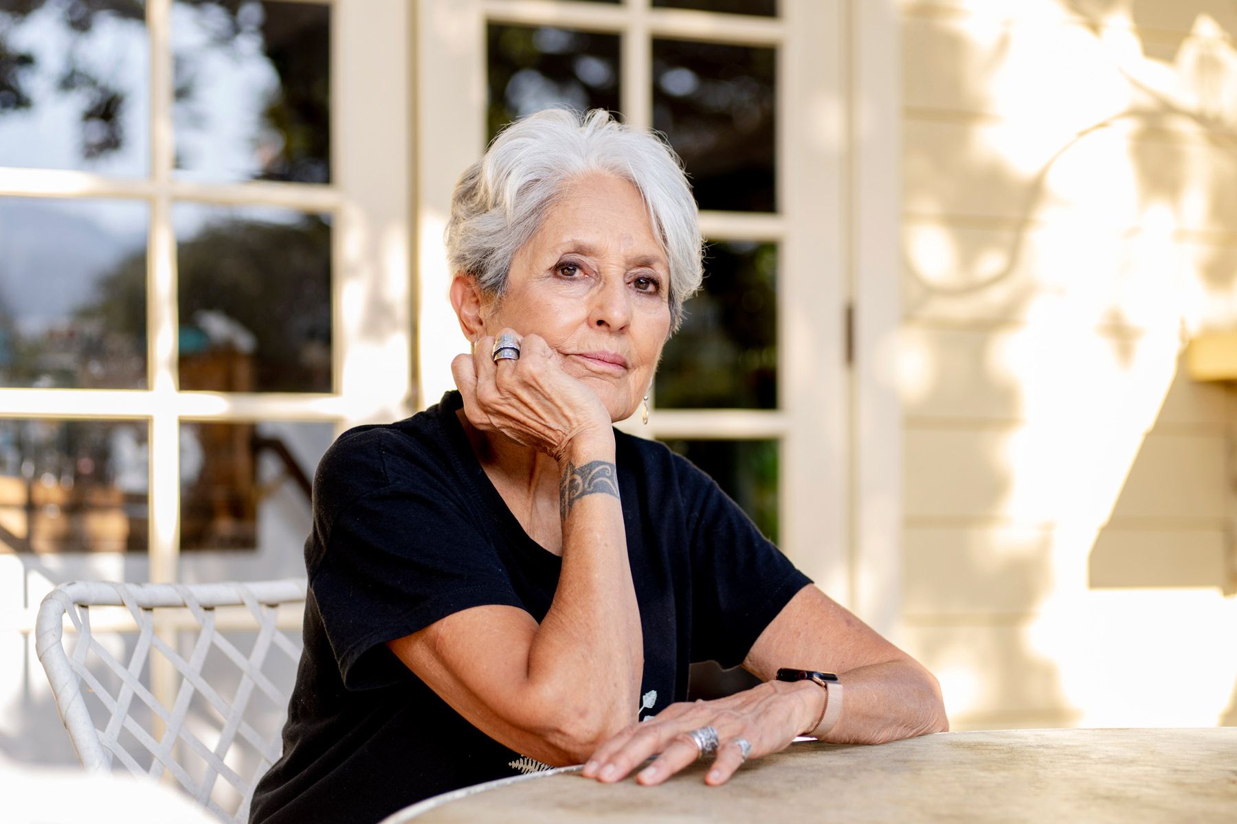 1800x1200 Joan Baez on the 2020 Election, Painting Portraits