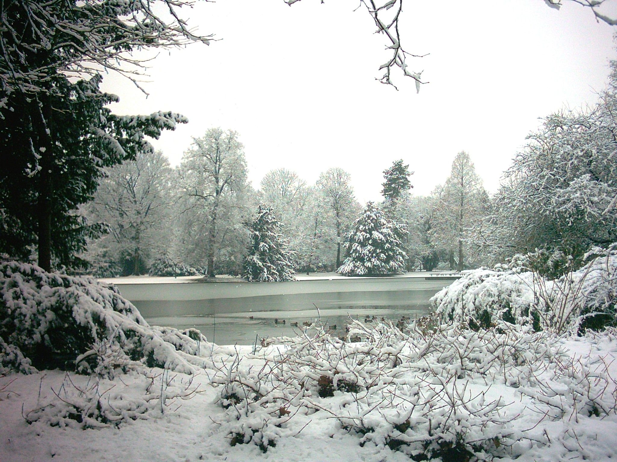 2048x1536 Karlsruhe park in winter
