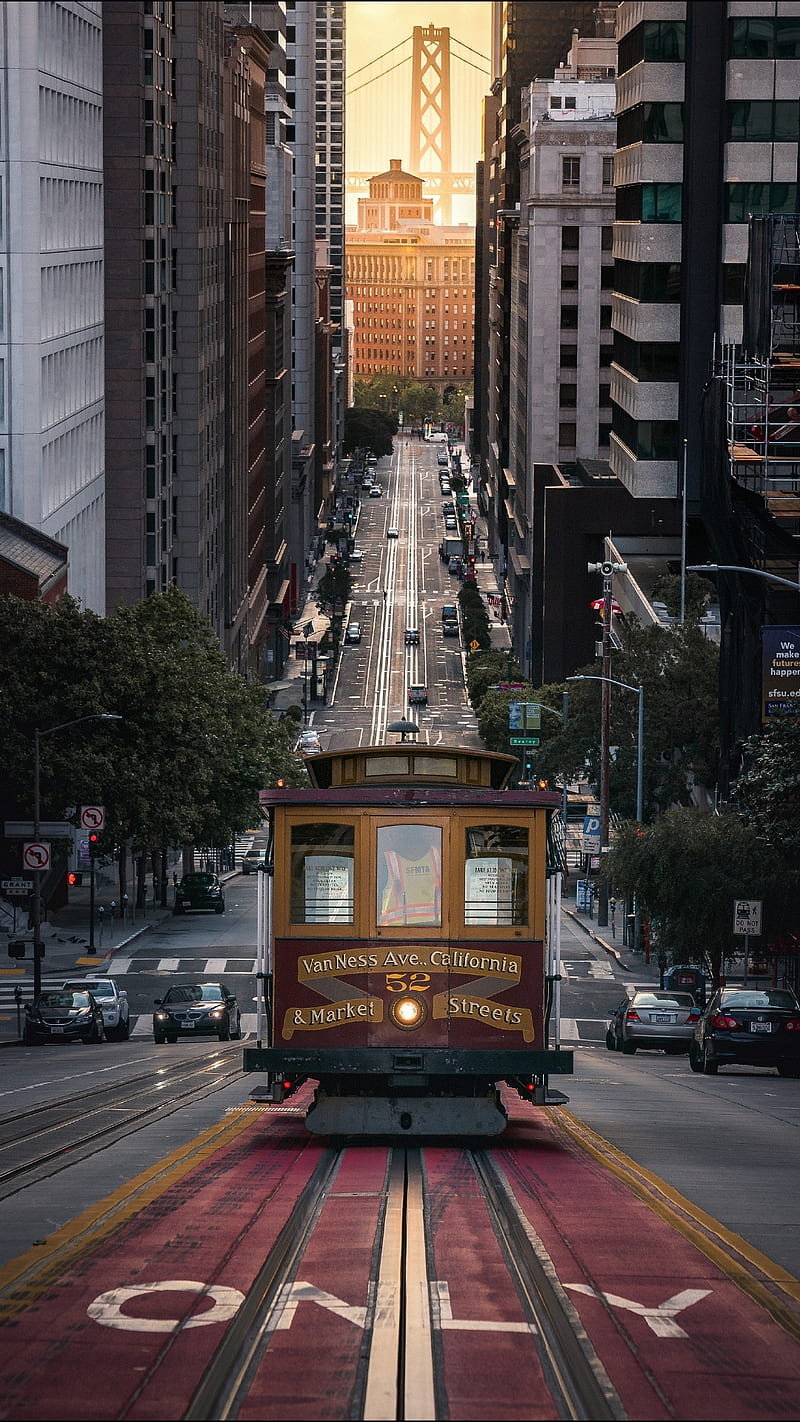 800x1422 HD tramway wallpaper