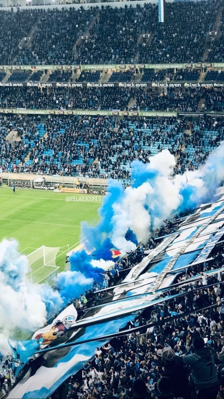 736x1308 Imagens do grêmio. Cruzeiro e atletico, Fcporto wallpaper
