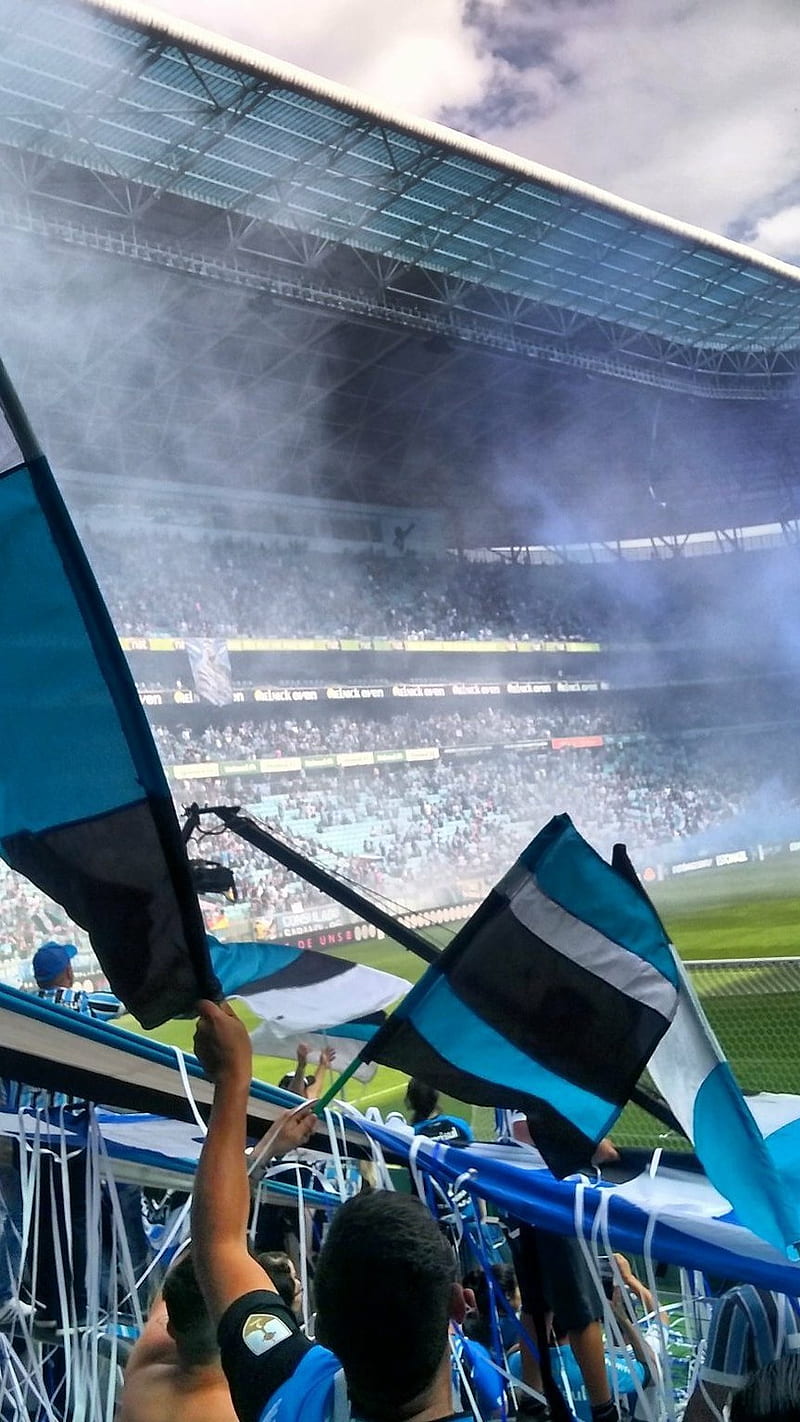 800x1422 HD gremio fbpa wallpaper