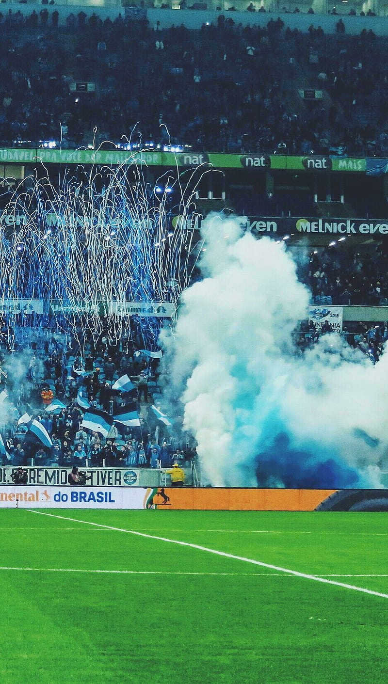 800x1411 Imortal Tricolor, futebol, gaucho, gremio, HD phone wallpaper