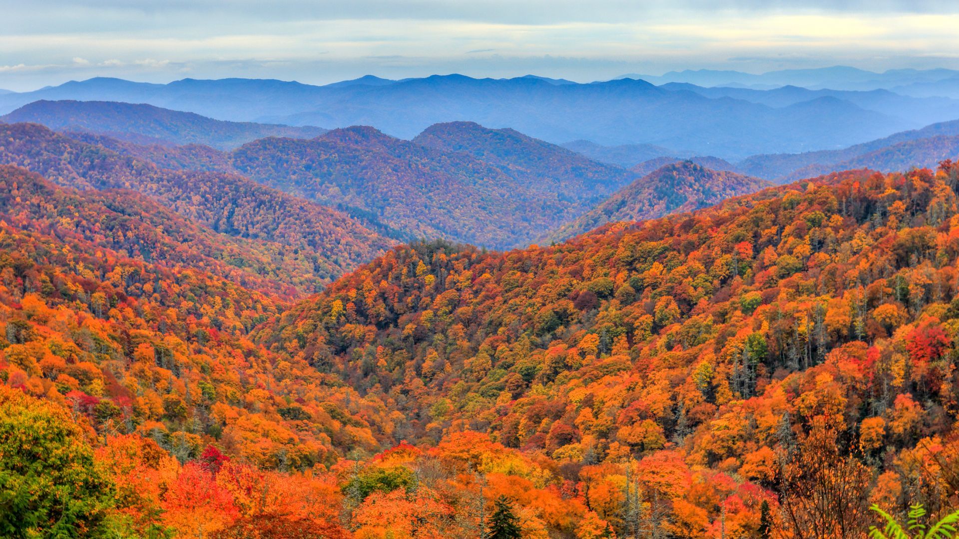 1920x1080 Pigeon Forge Fall Foliage Hotel & Festivals: Your Scenic Stay