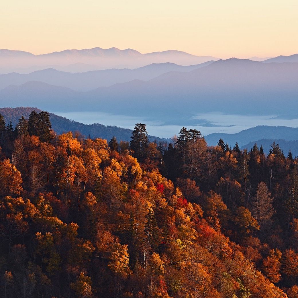 1040x1040 Pigeon Forge Is One of America's Top Fall Destinations. Here's Why