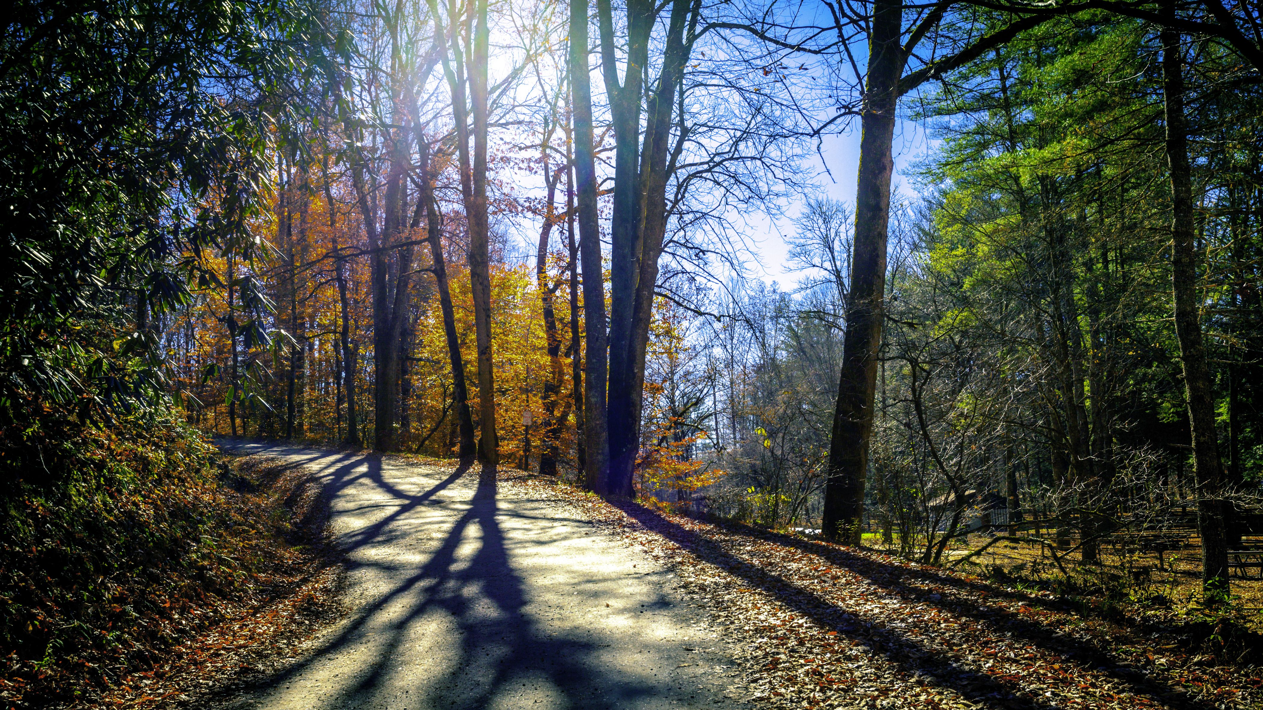 4206x2366 Unleashing Spring Break In Pigeon Forge, Tennessee: A Family Friendly Adventure