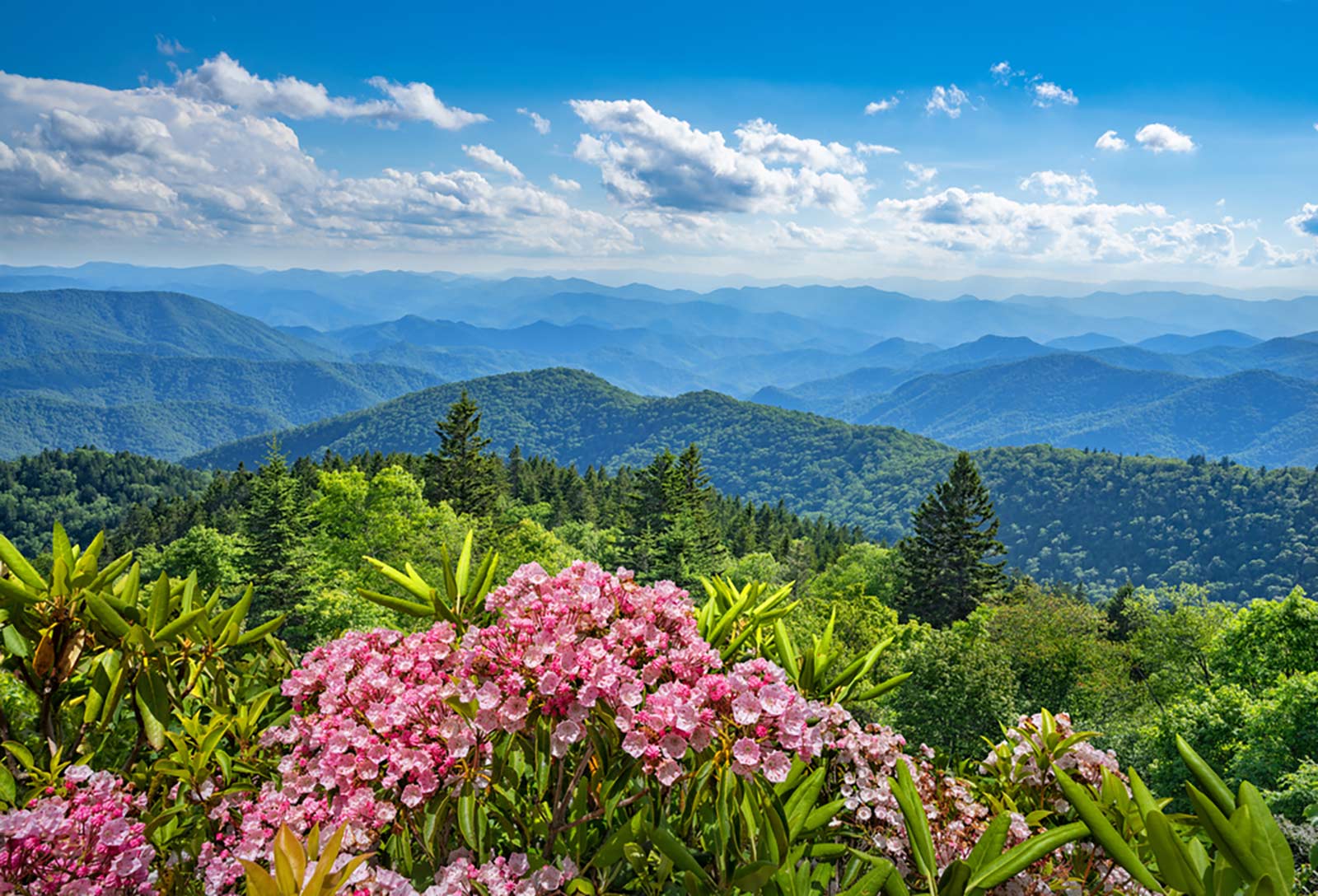 1600x1088 A Magical Summer Getaway in Pigeon Forge, TN
