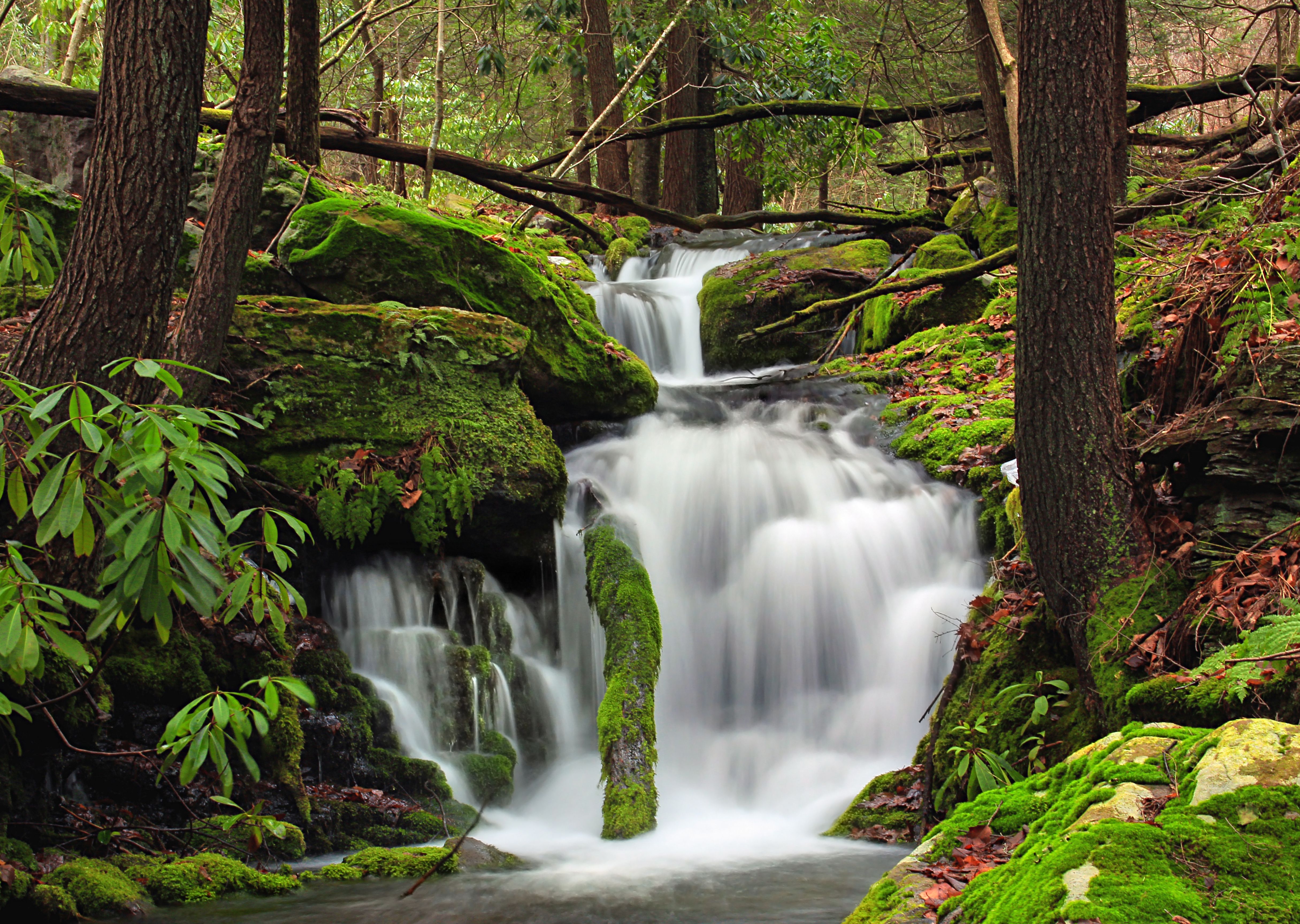4860x3456 One For Nature. Stroudsburg, PA 18360