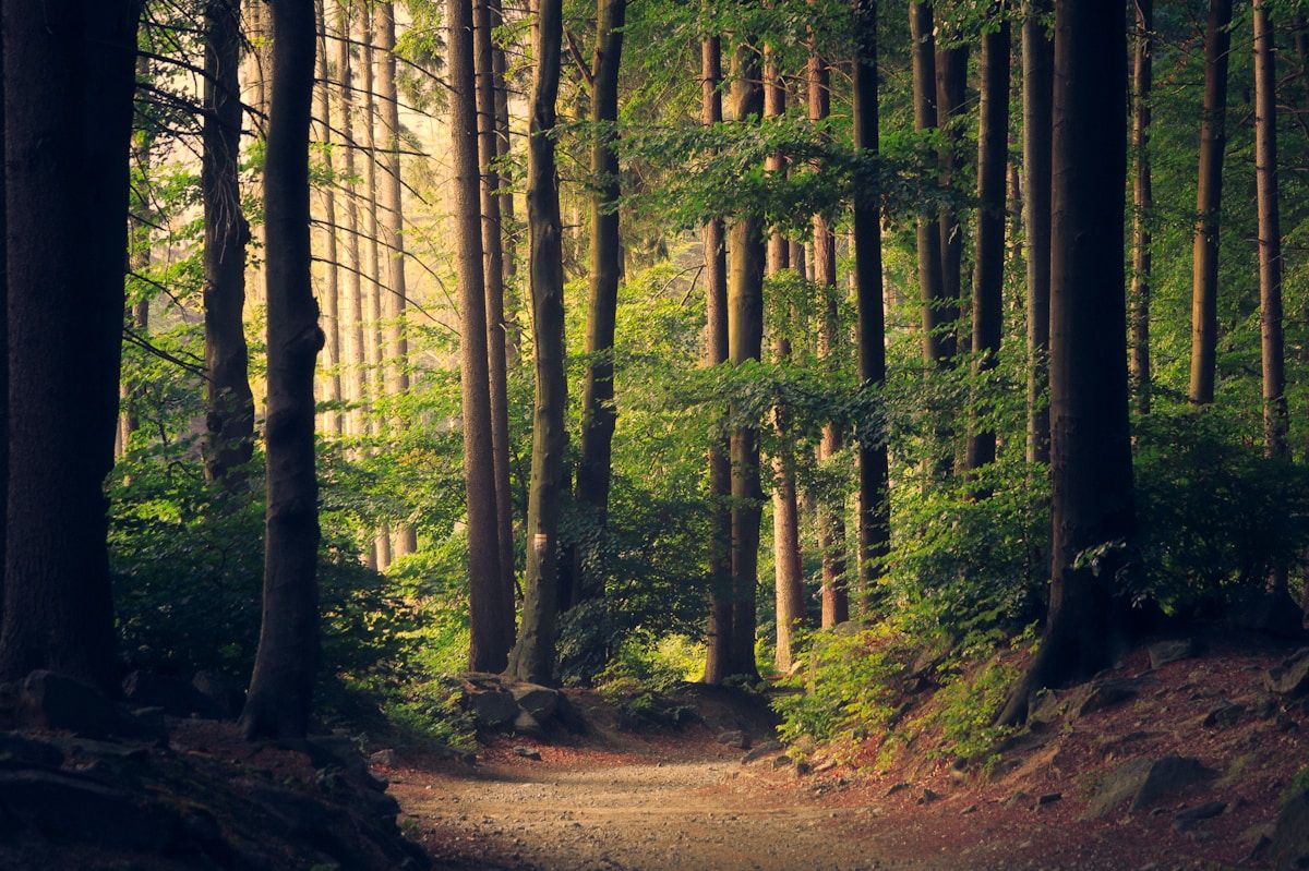 1200x799 Best Hidden Gems in the Poconos (Locals Don't Tell You This). POCONO TOURISM™