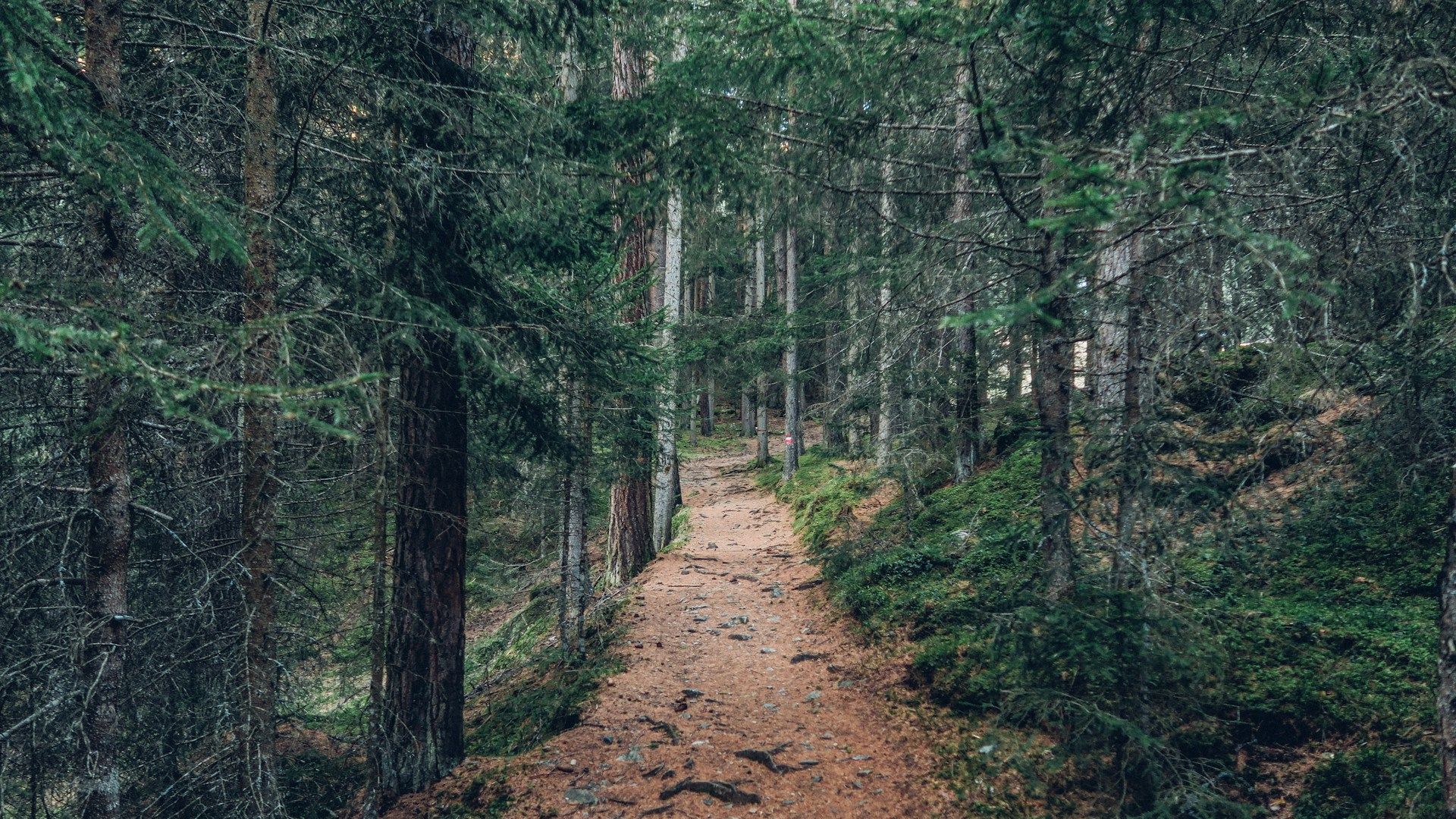 1920x1080 Pocono Mountain Hiking Trails Safety Tips. Pocono Mountain Rentals