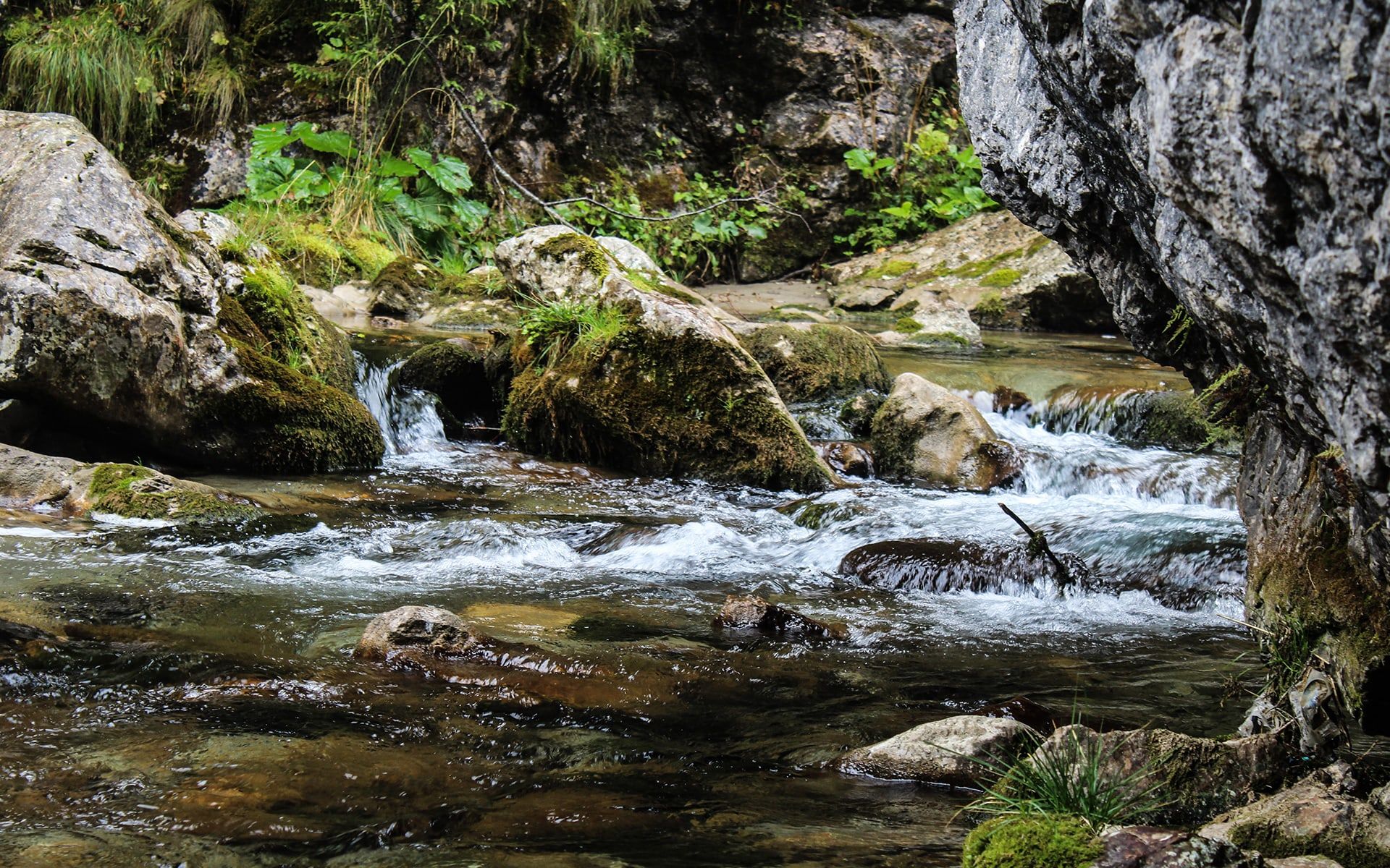 1920x1200 Pocono Mountains