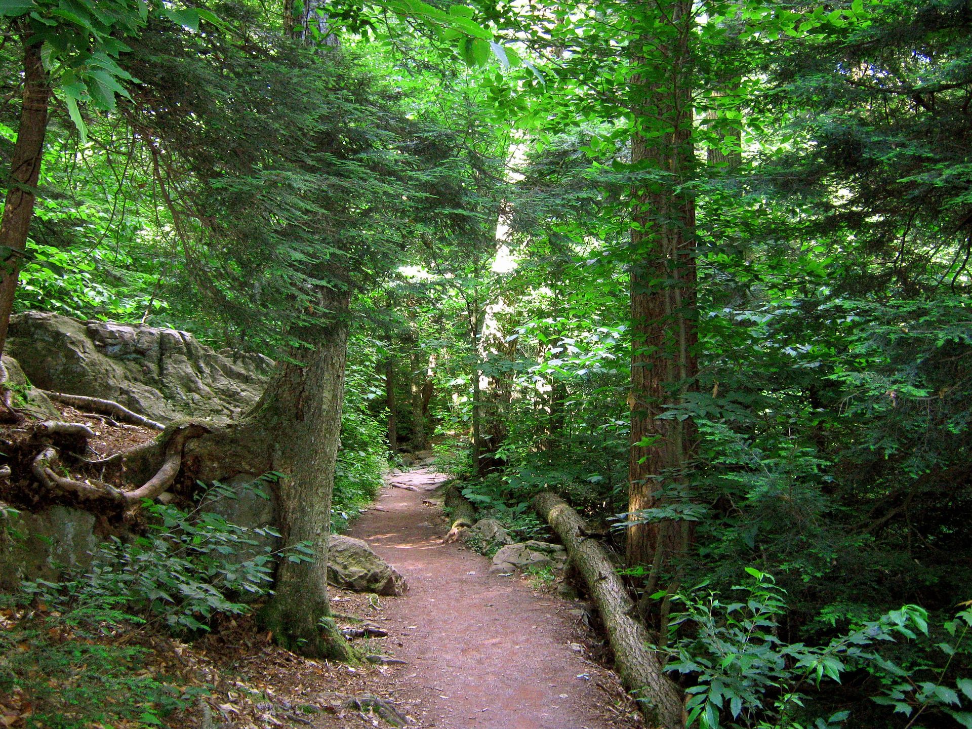 1920x1440 Pocono Environmental Education Center. Pocono Mountain Rentals
