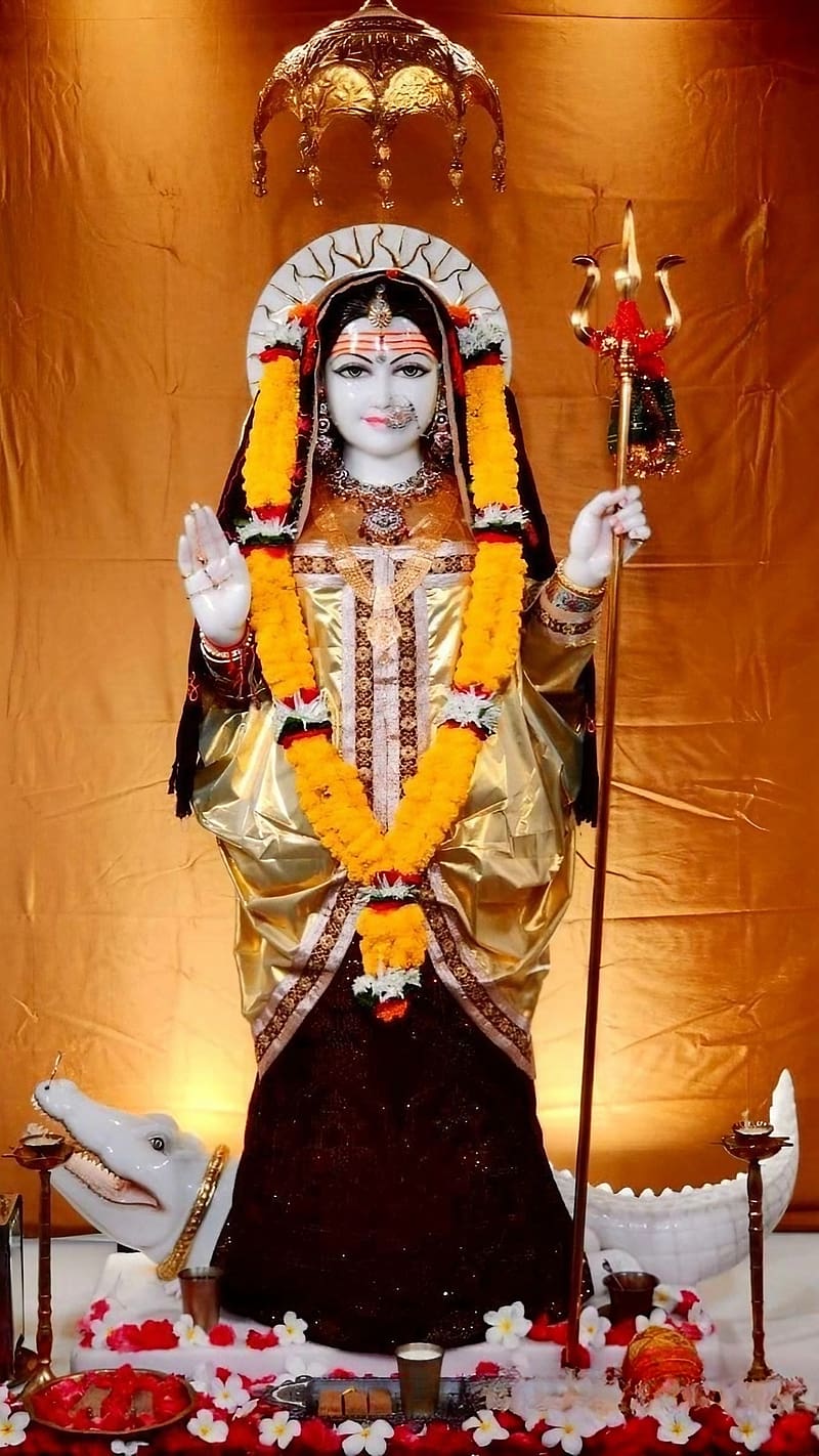 800x1422 Khodiyar Maa Na, Golden Background, gujarati goddess, HD phone wallpaper
