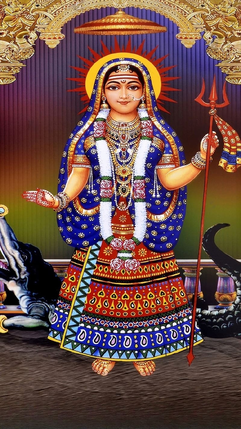 800x1422 Khodiyar Maa Na, Statue Closeup, gujarati goddess, HD phone wallpaper