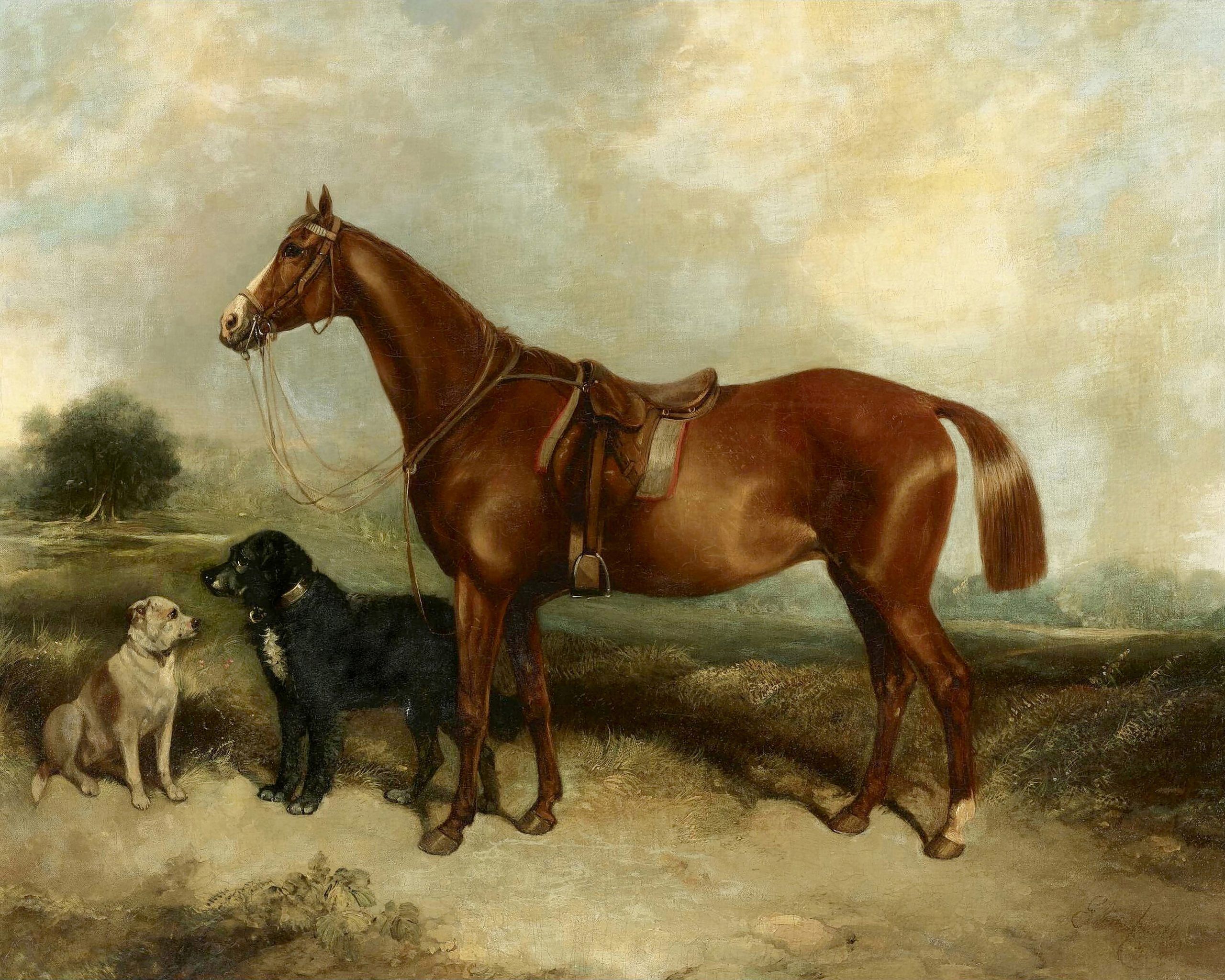 2560x2048 Chestnut Horse with Two Dogs