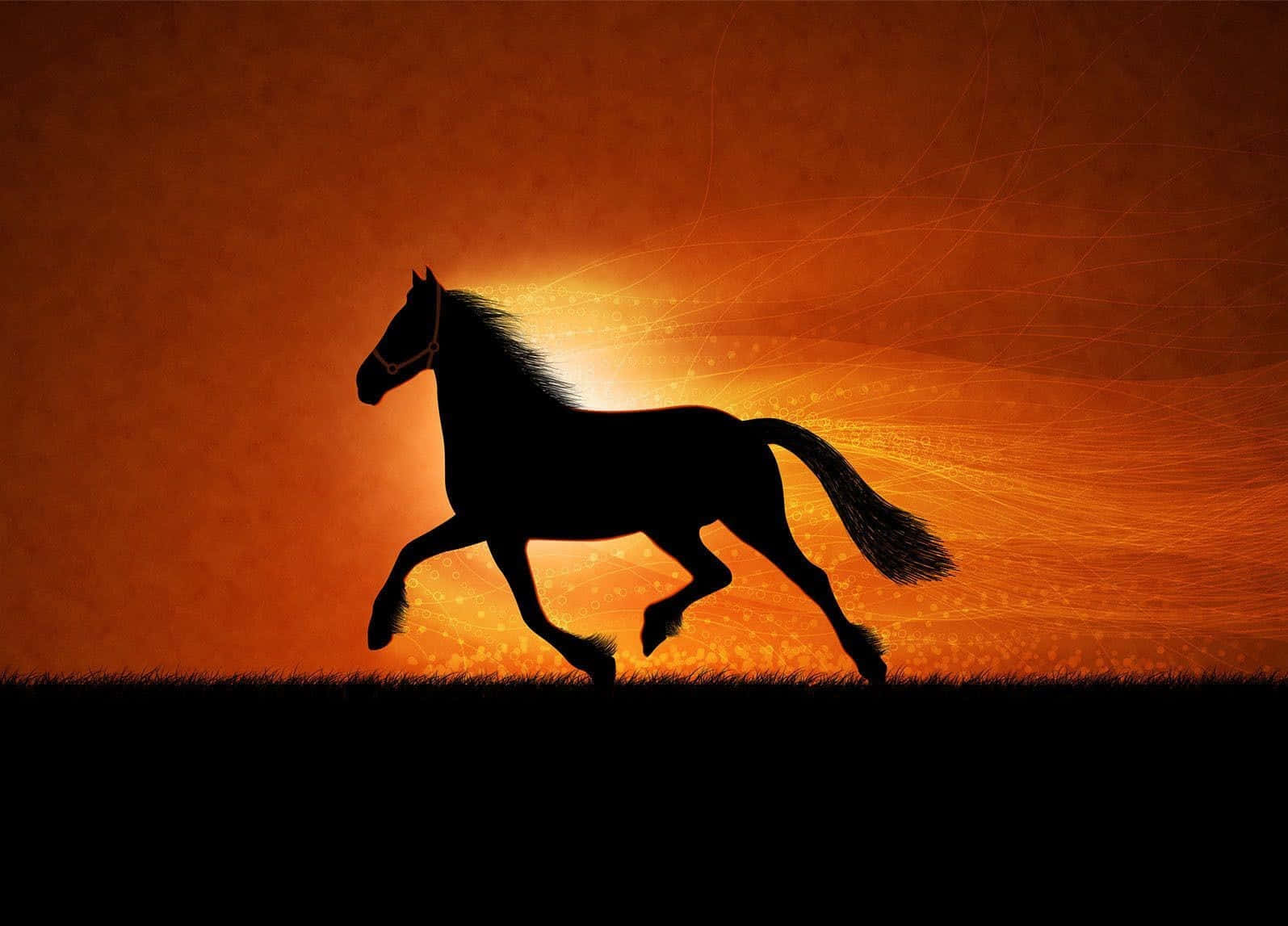 1595x1147 Download A magnificent chestnut horse galloping in a meadow
