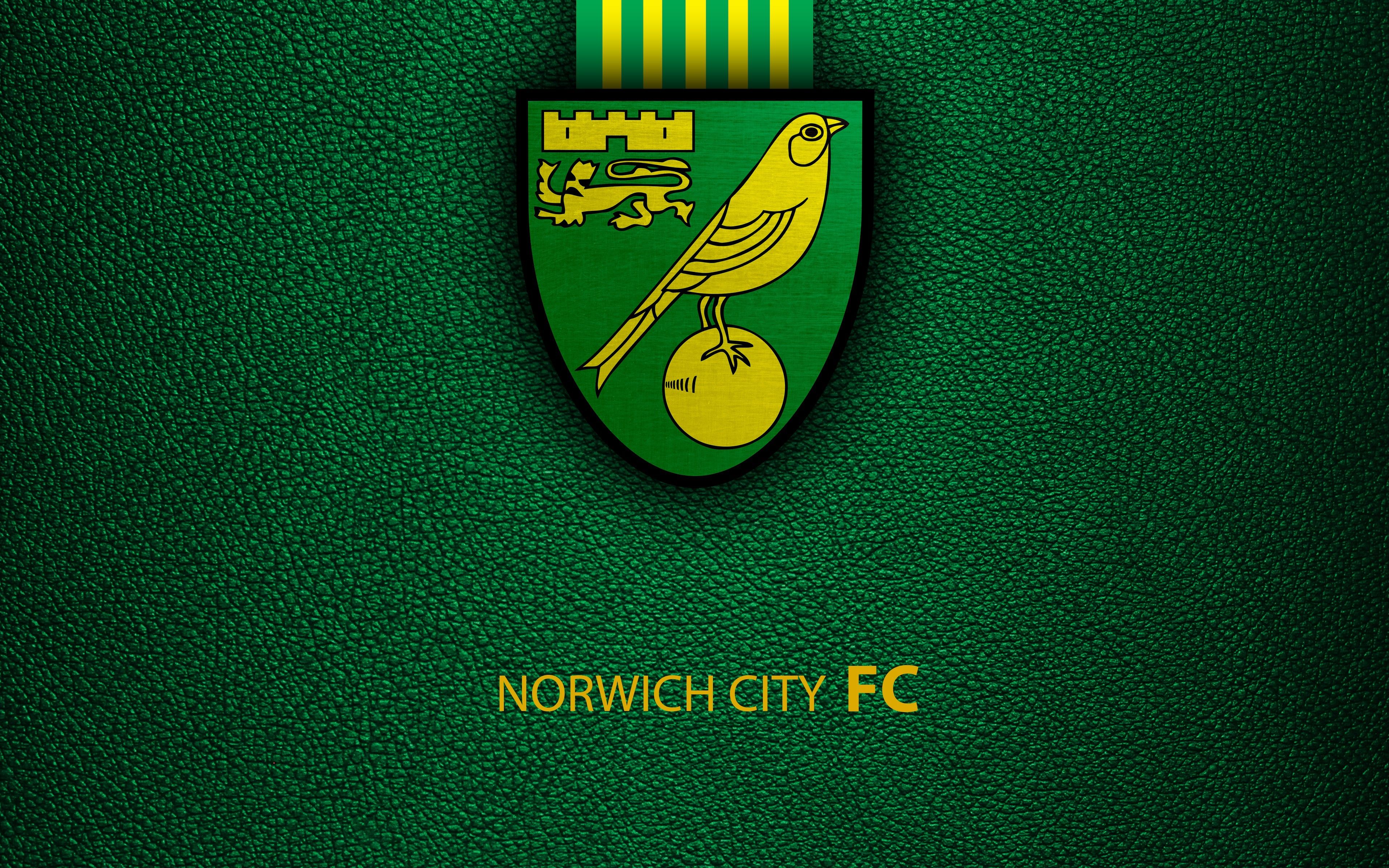 3840x2400 Wallpaper wallpaper, logo, football, Sport, English Premier League, Norwich City for mobile and desktop, section спорт, resolution 3840x2400