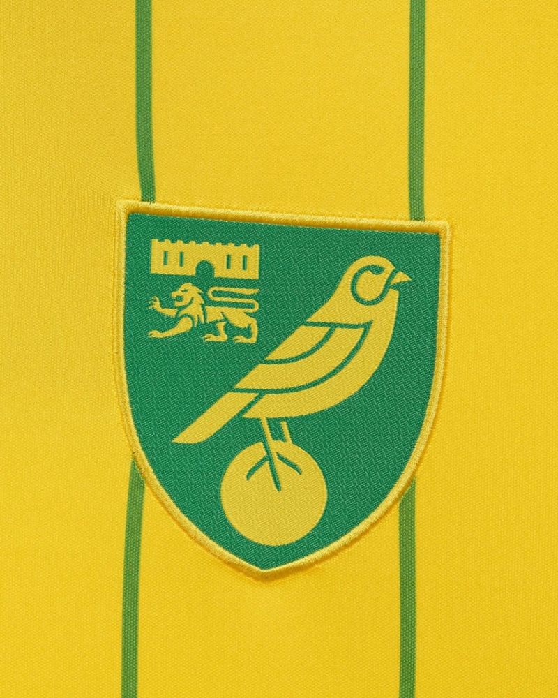 800x1000 Tobias Hall for Norwich City FC • Handsome Frank • Home to the world's greatest illustrators