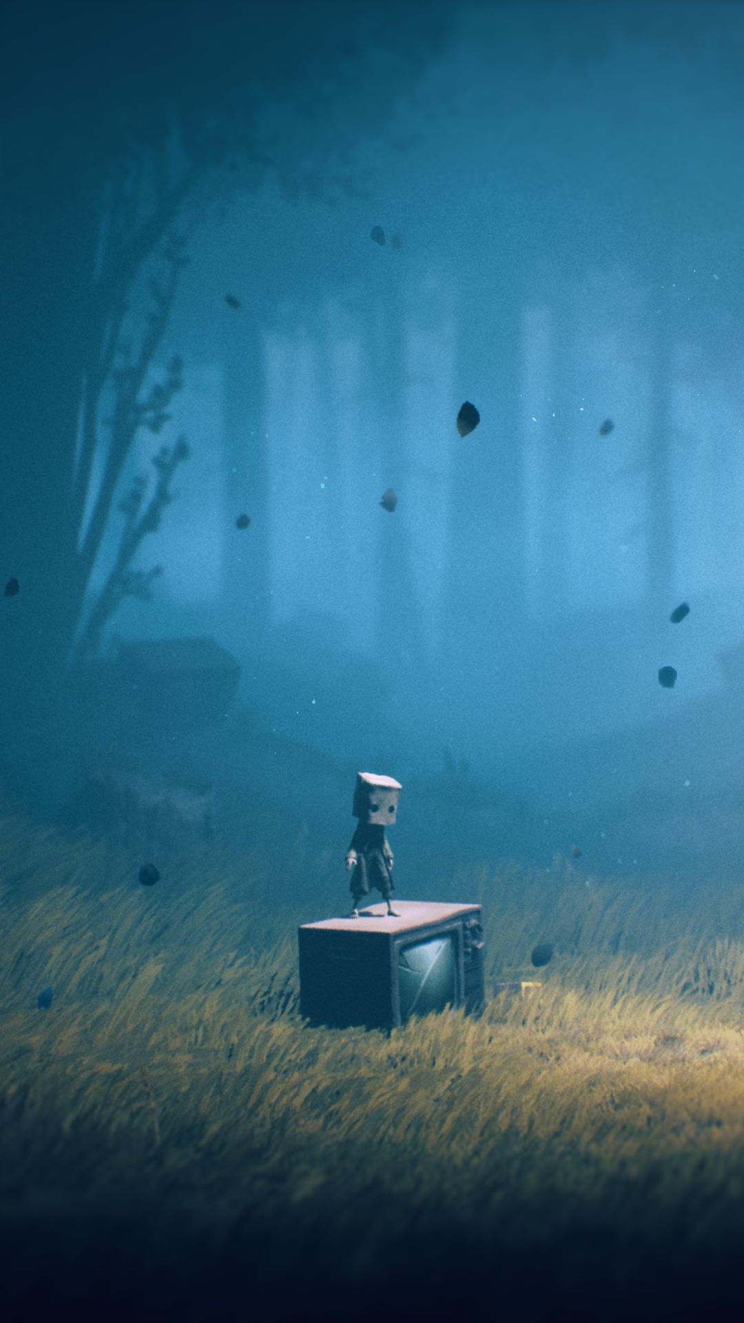 1080x1920 Phone wallpaper: Mono (Little Nightmares), Little Nightmares Ii, Video Game 1397611