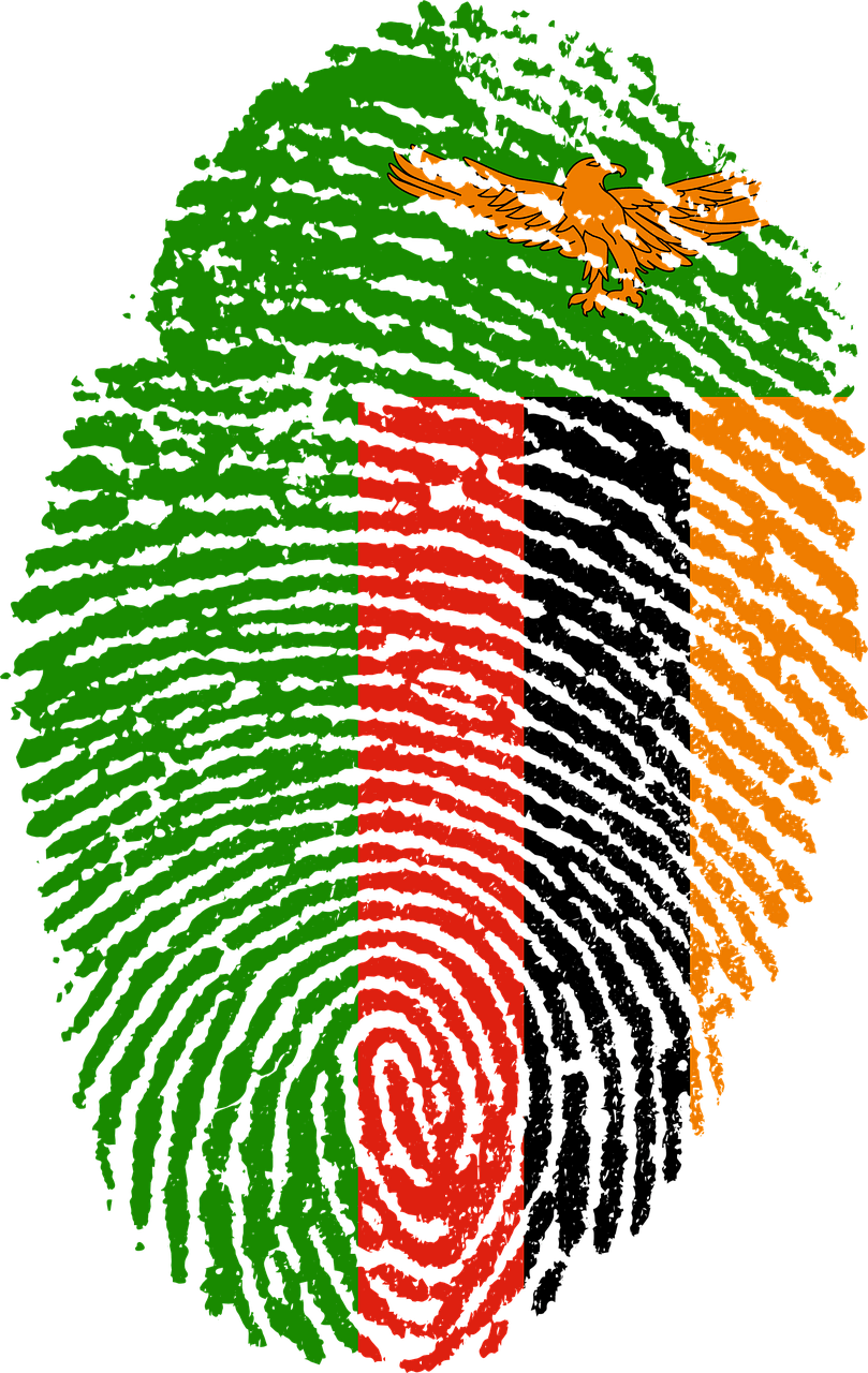 809x1280 Download free photo of Zambia, flag, fingerprint, country, pride