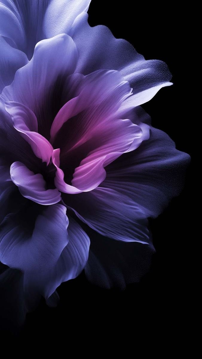 676x1201 OLED Flower