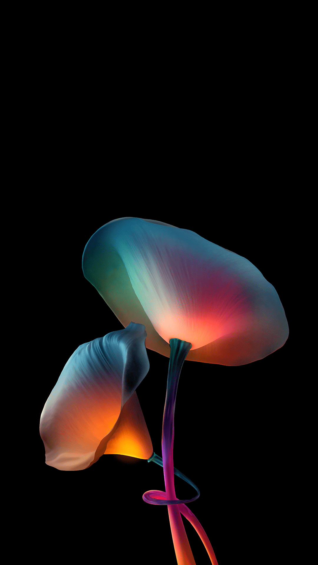 1080x1920 Wallpaper Amoled, Flower, Art, Colorfulness, Graphics, Background Free Image