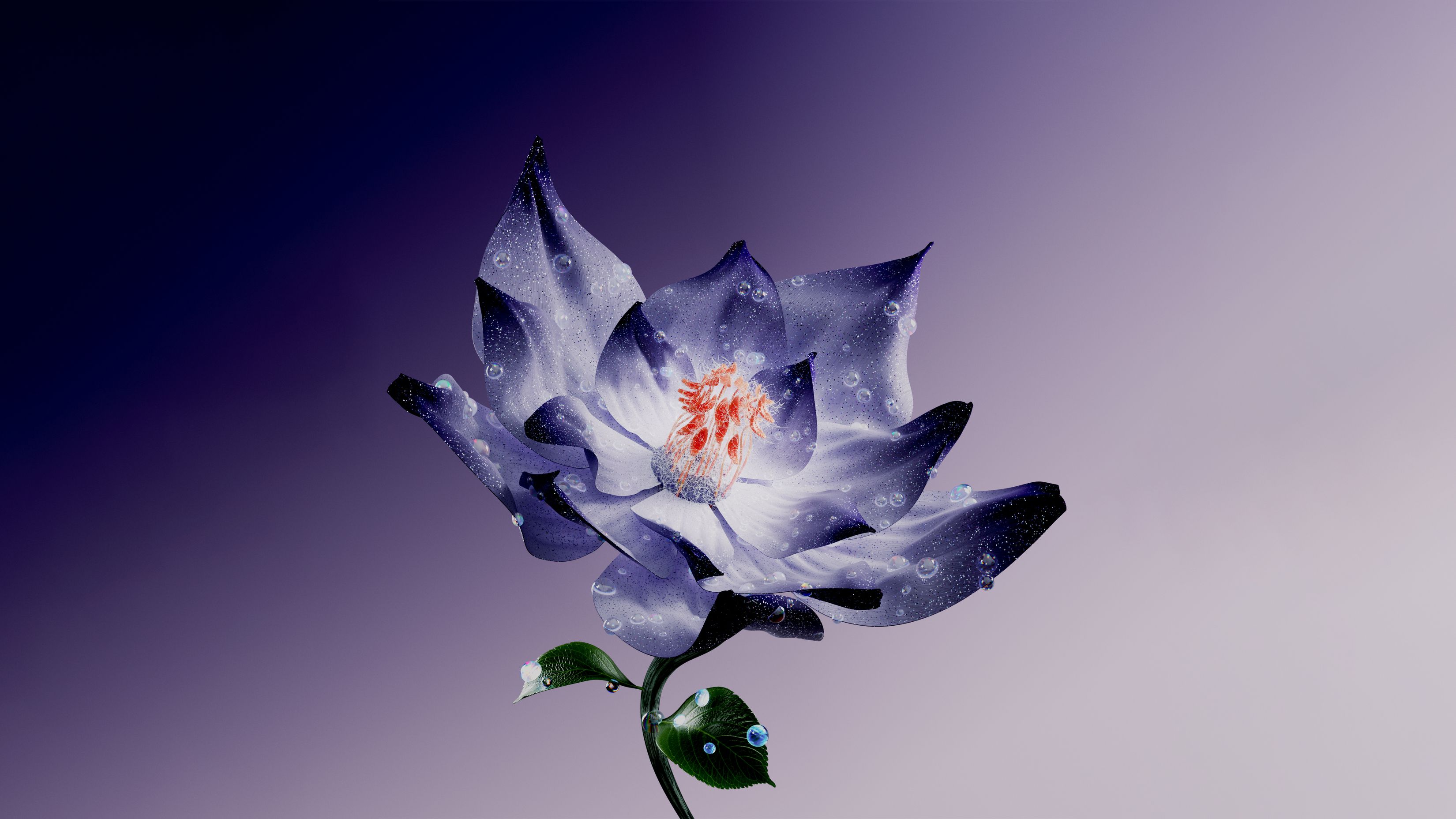 3300x1856 Purple Flower