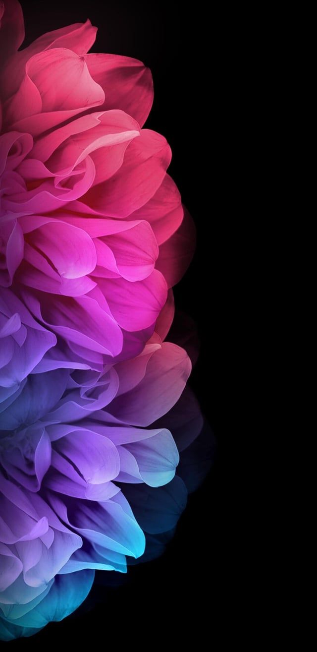 640x1315 Wallpaper for OLED display