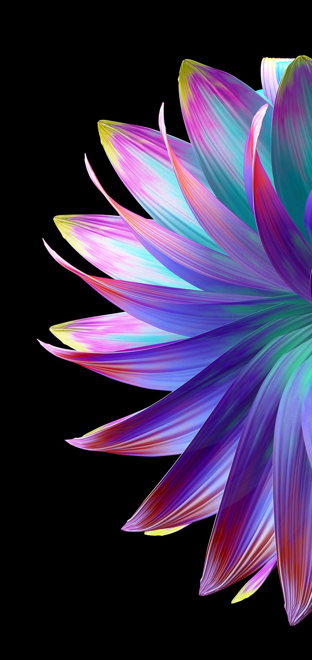 1019x2152 FLOWER AESTHETIC AMOLED WALLPAPER 4K Wallpaper. Best 4K Wallpaper for Computers