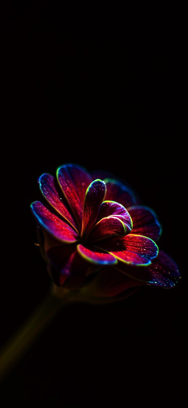 738x1600 Glowing Flower OLED iPhone Wallpaper 4K
