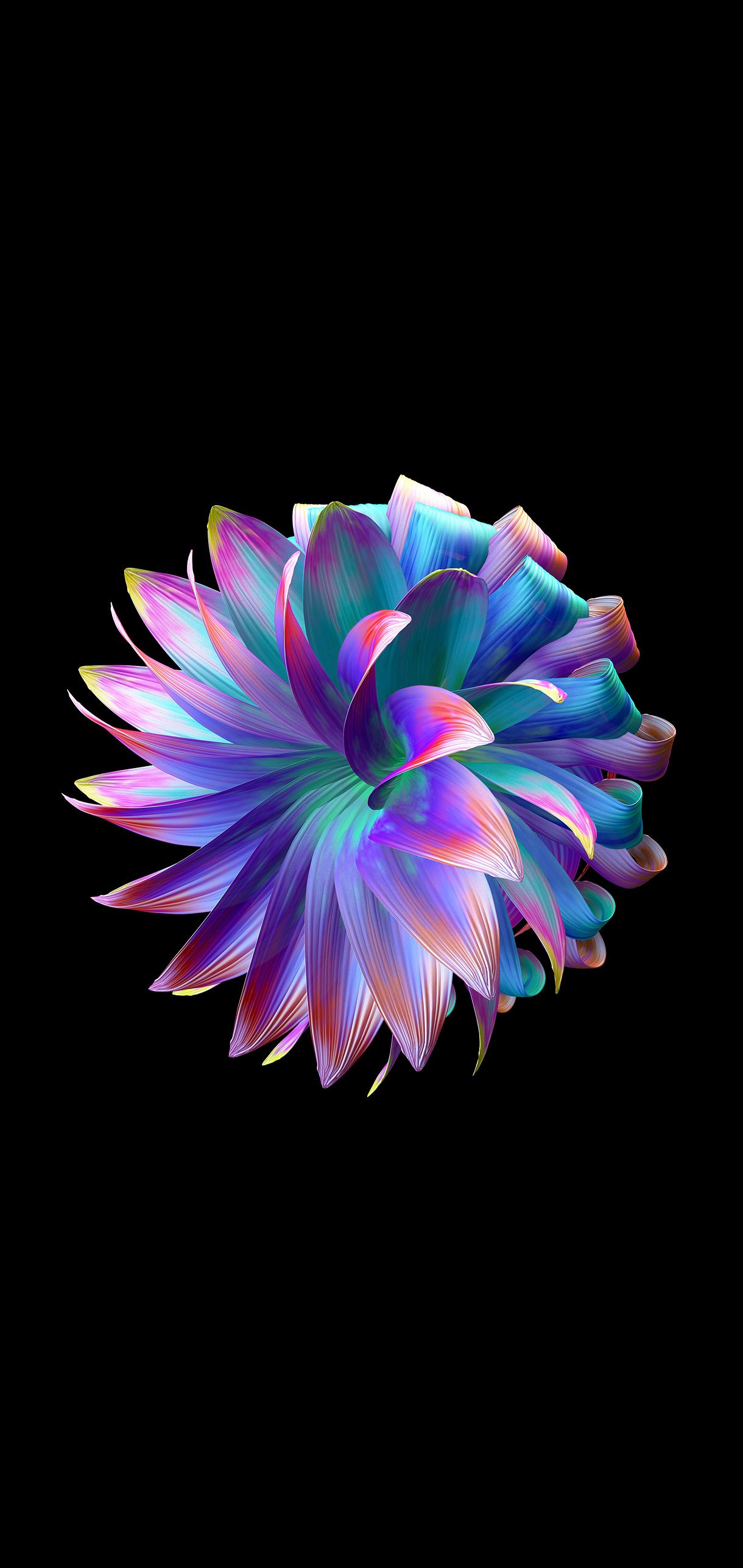 1220x2576 FLOWER AESTHETIC AMOLED WALLPAPER 4K Wallpaper. Best 4K Wallpaper for Computers